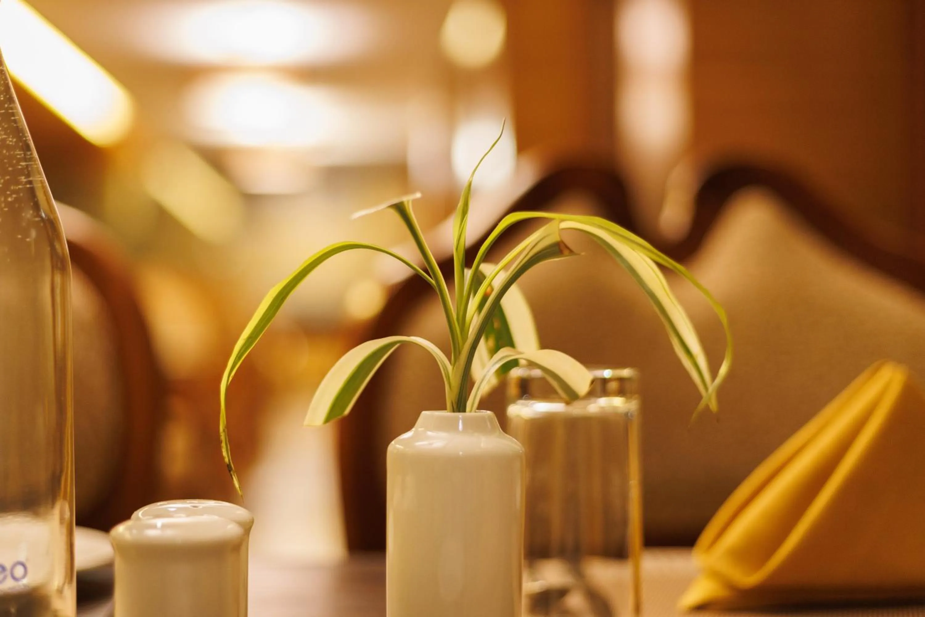 Restaurant/places to eat in Amber Dale Luxury Hotel & Spa, Munnar