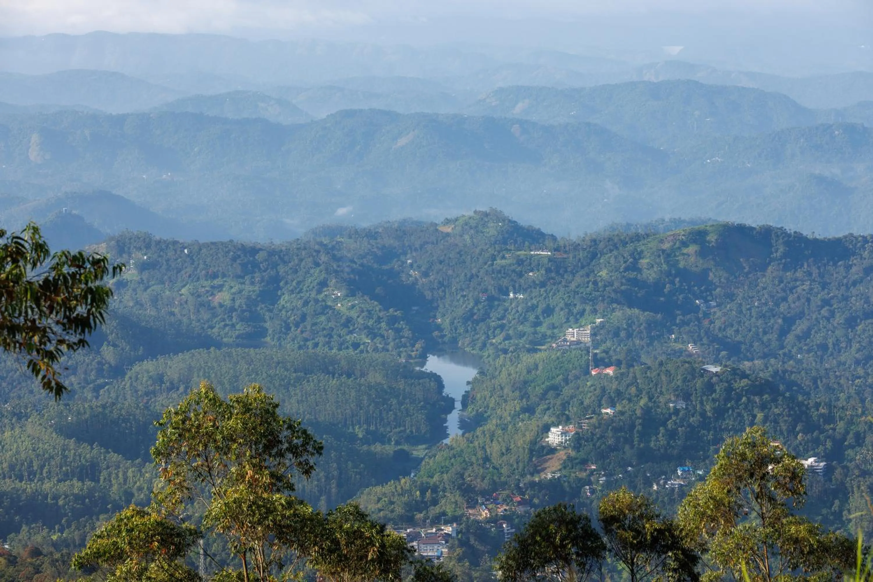 Other in Amber Dale Luxury Hotel & Spa, Munnar
