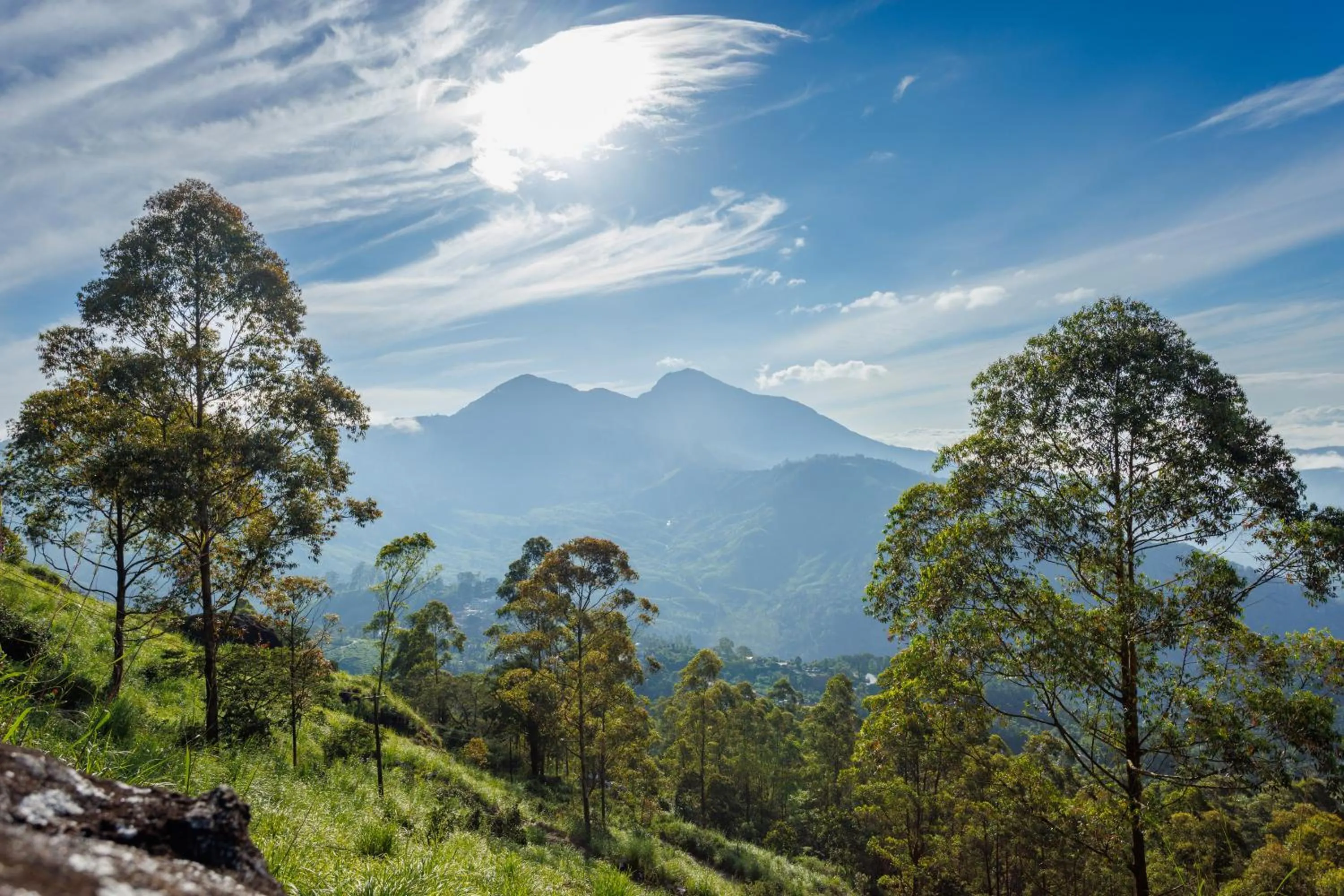 Other in Amber Dale Luxury Hotel & Spa, Munnar