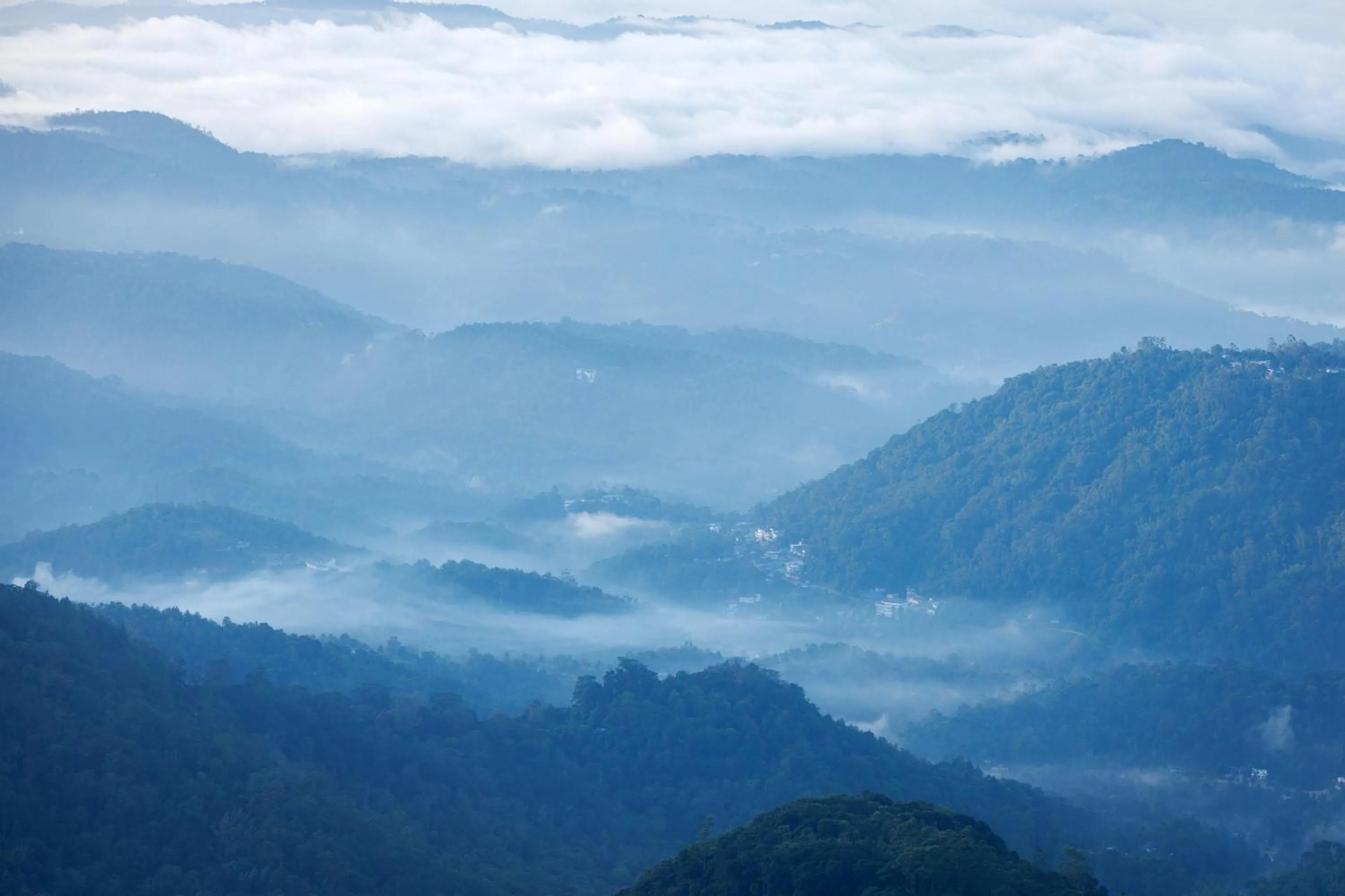 View (from property/room) in Amber Dale Luxury Hotel & Spa, Munnar