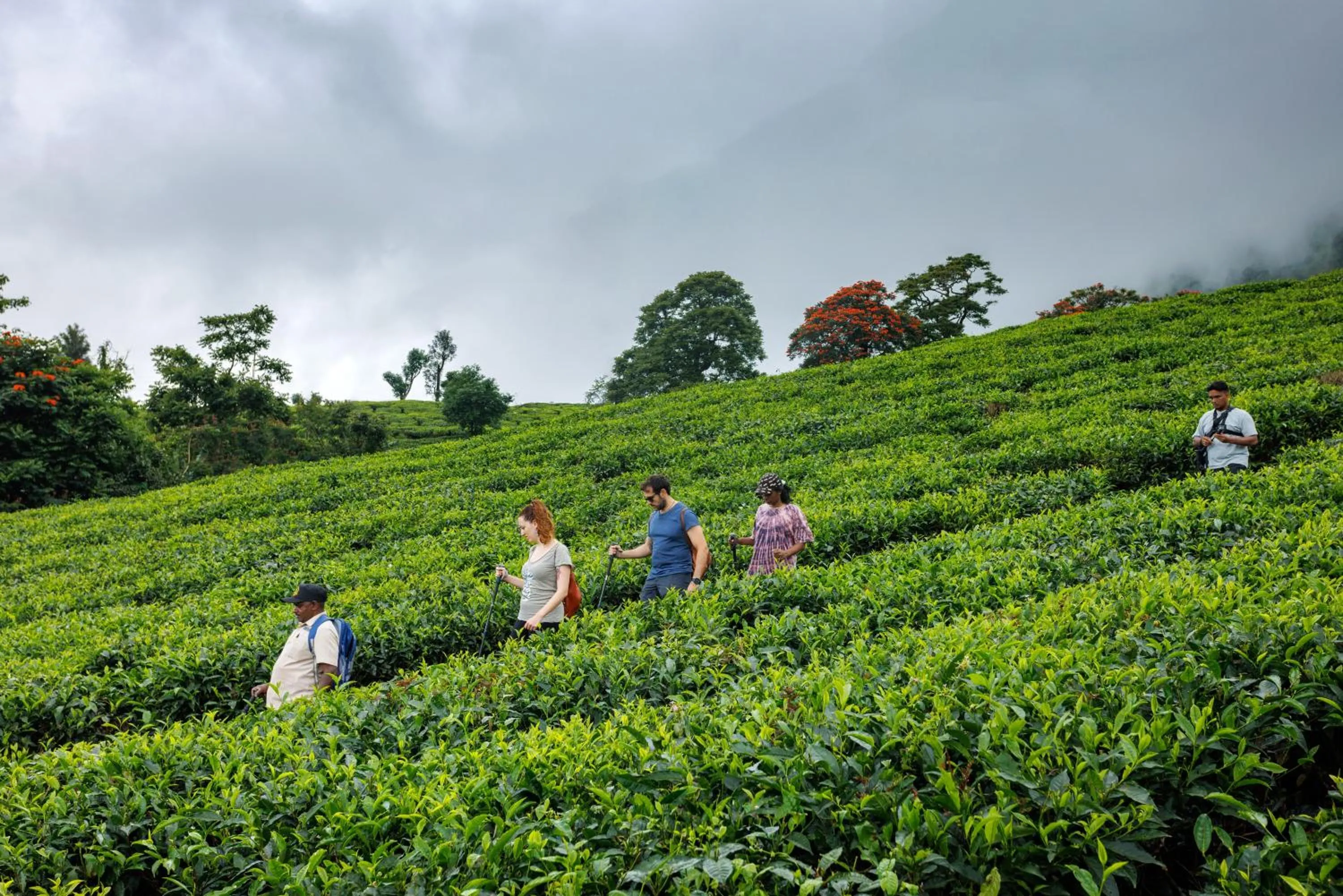 Activities in Amber Dale Luxury Hotel & Spa, Munnar