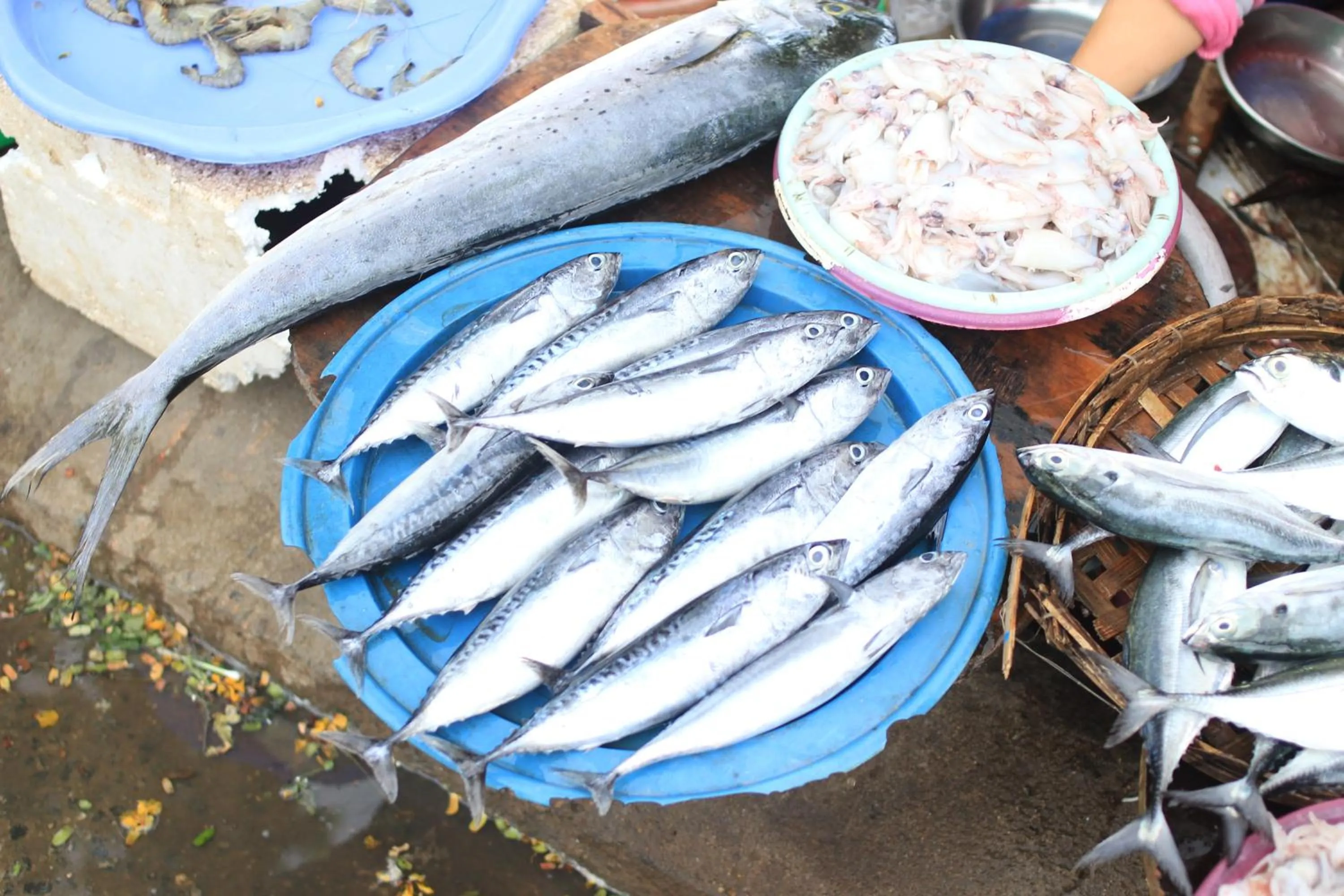 Shopping Area in Lang Dong An Bang