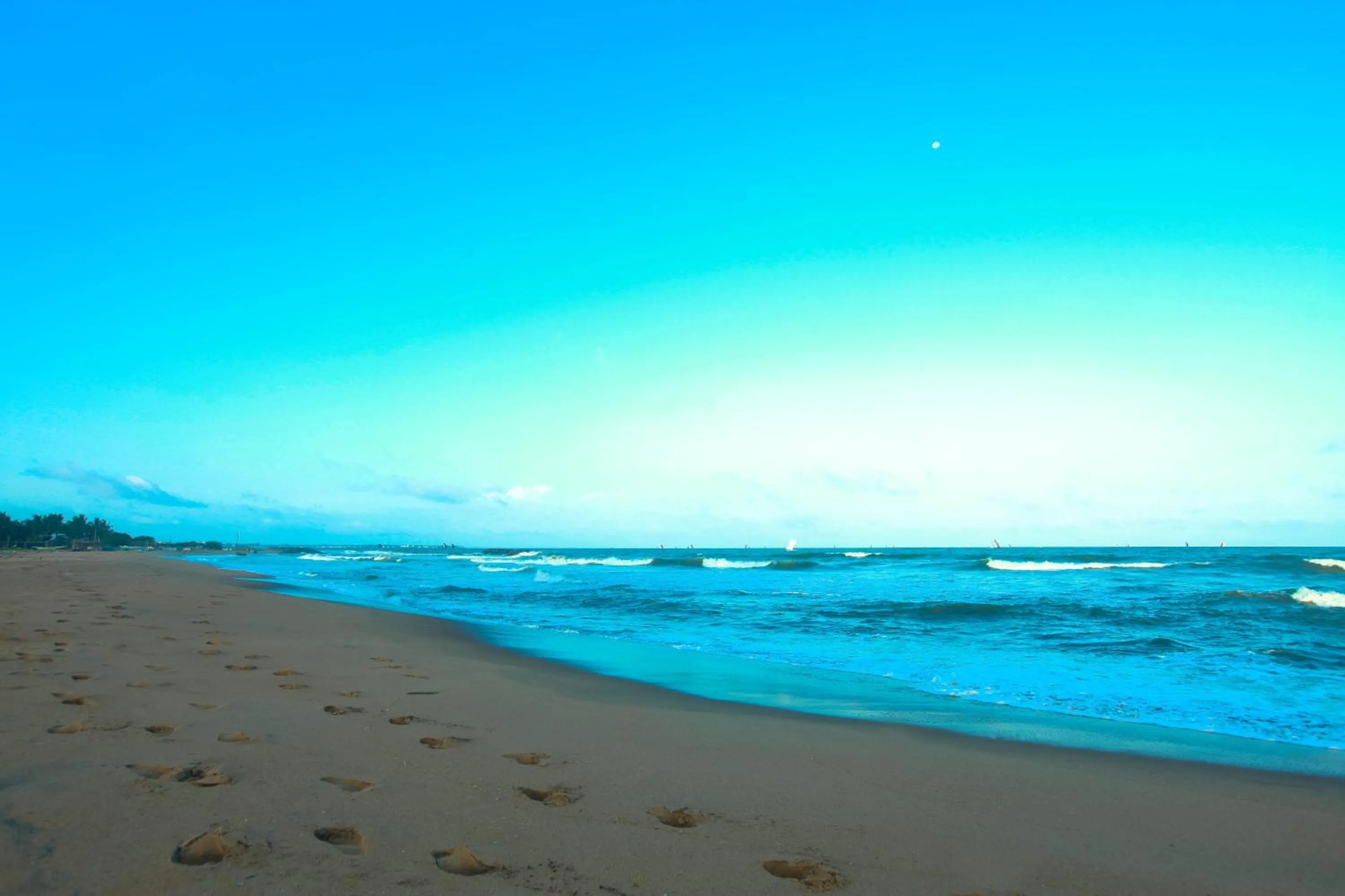 Beach in Beacon Beach Hotel Negombo