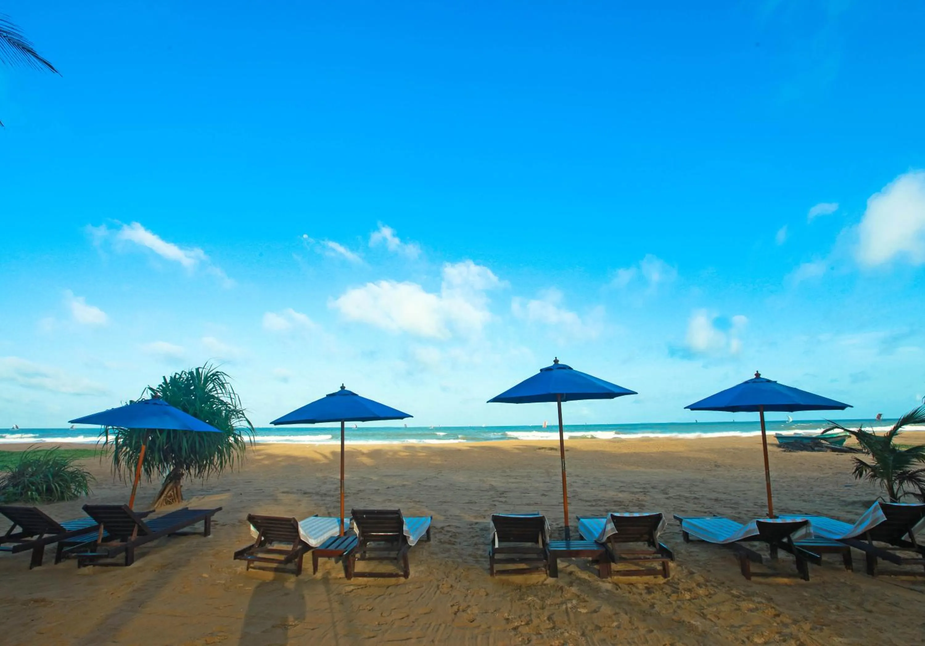 Beach in Beacon Beach Hotel Negombo