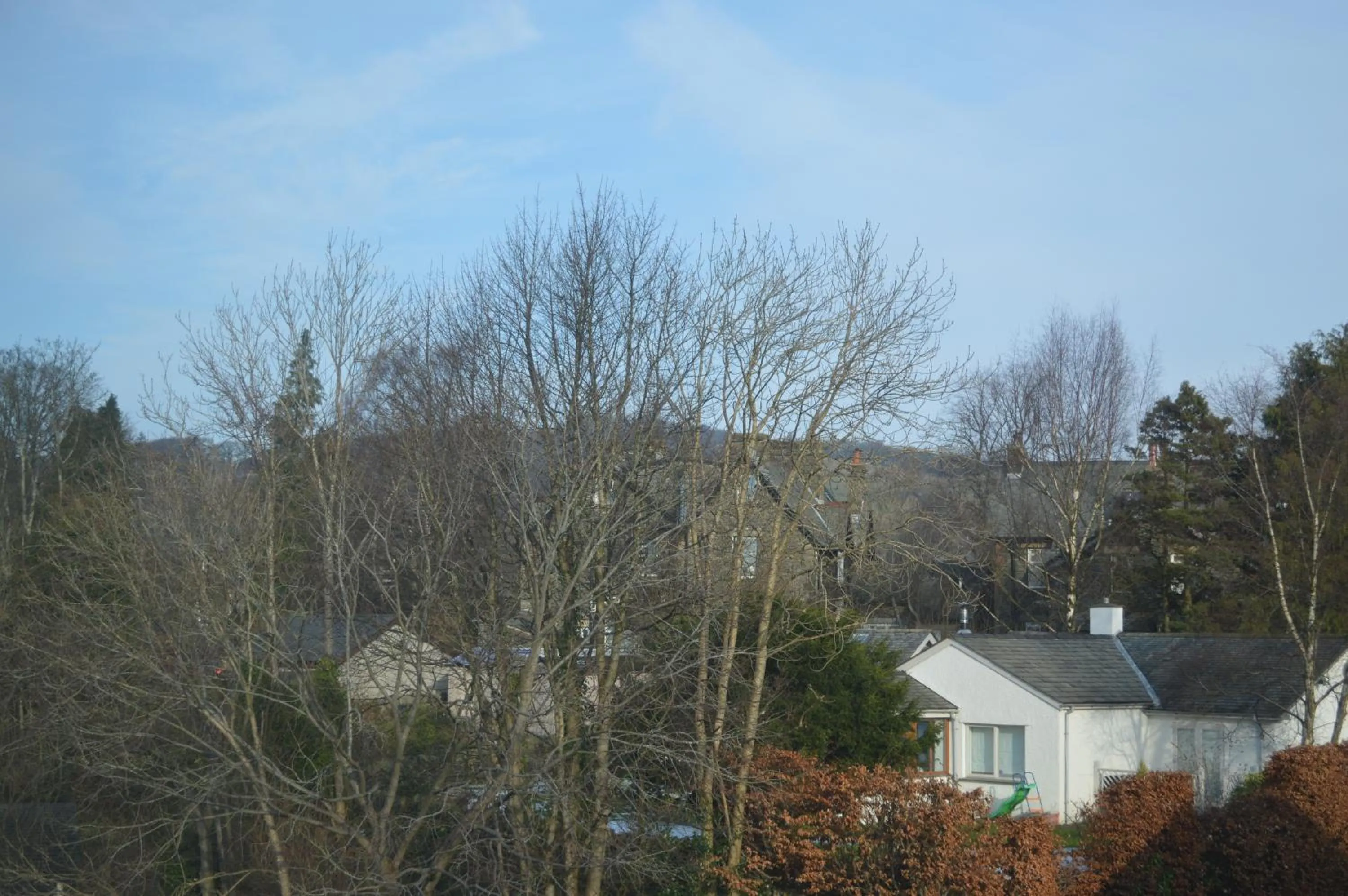 View (from property/room) in Ellerbrook House