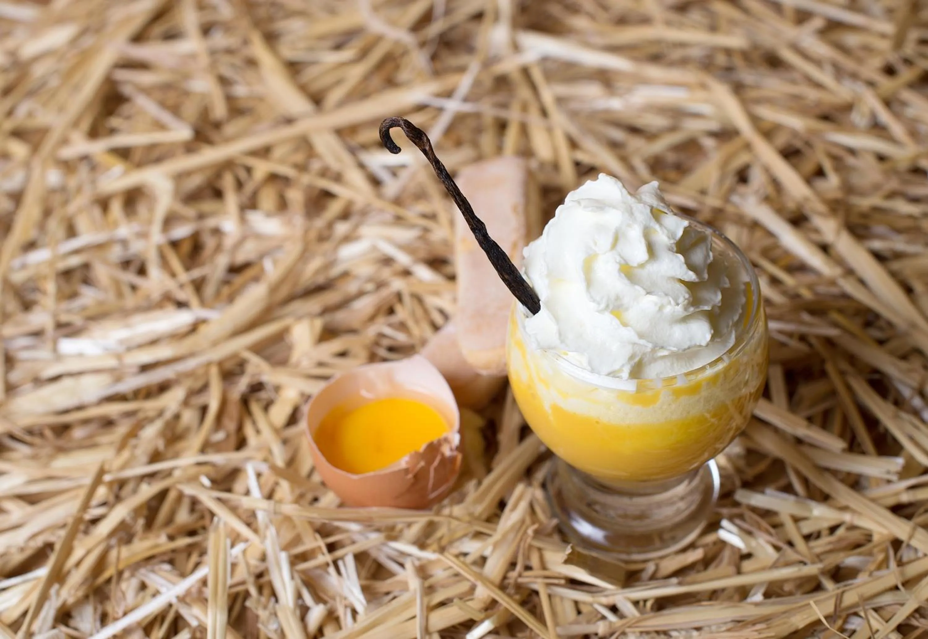 Lounge or bar in Hotel Vedig