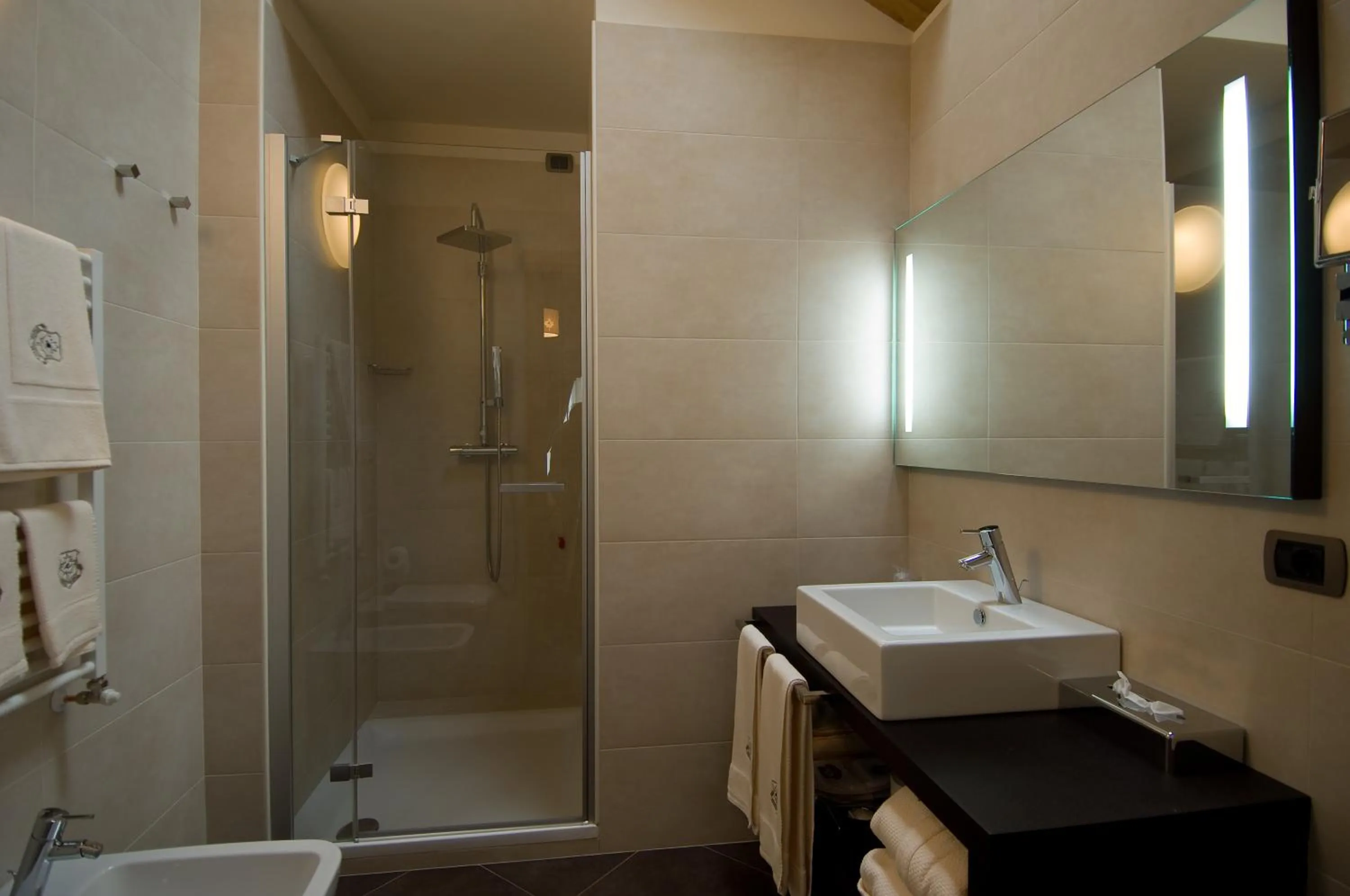 Bathroom in Hotel Vedig