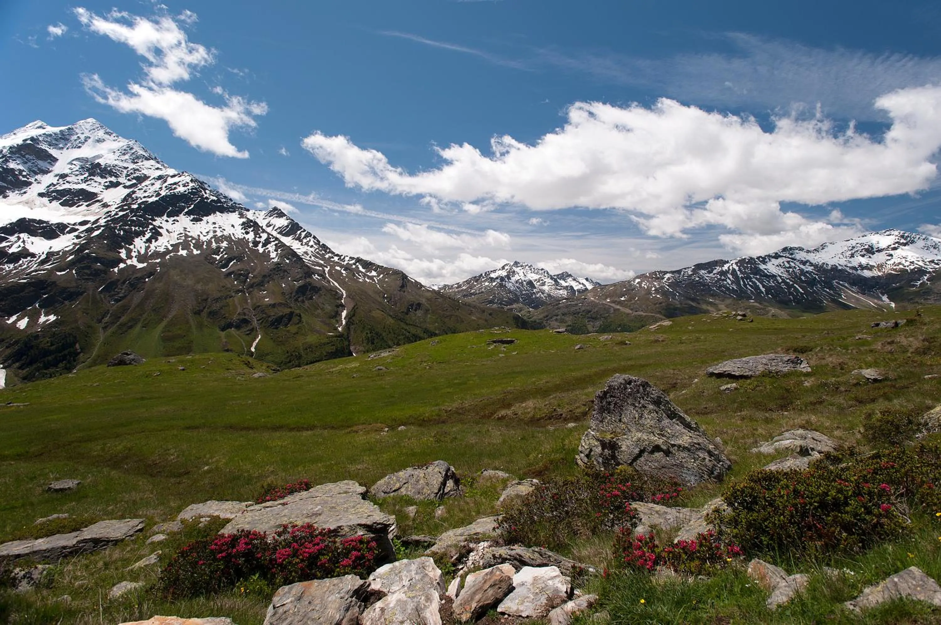 Area and facilities in Hotel Vedig
