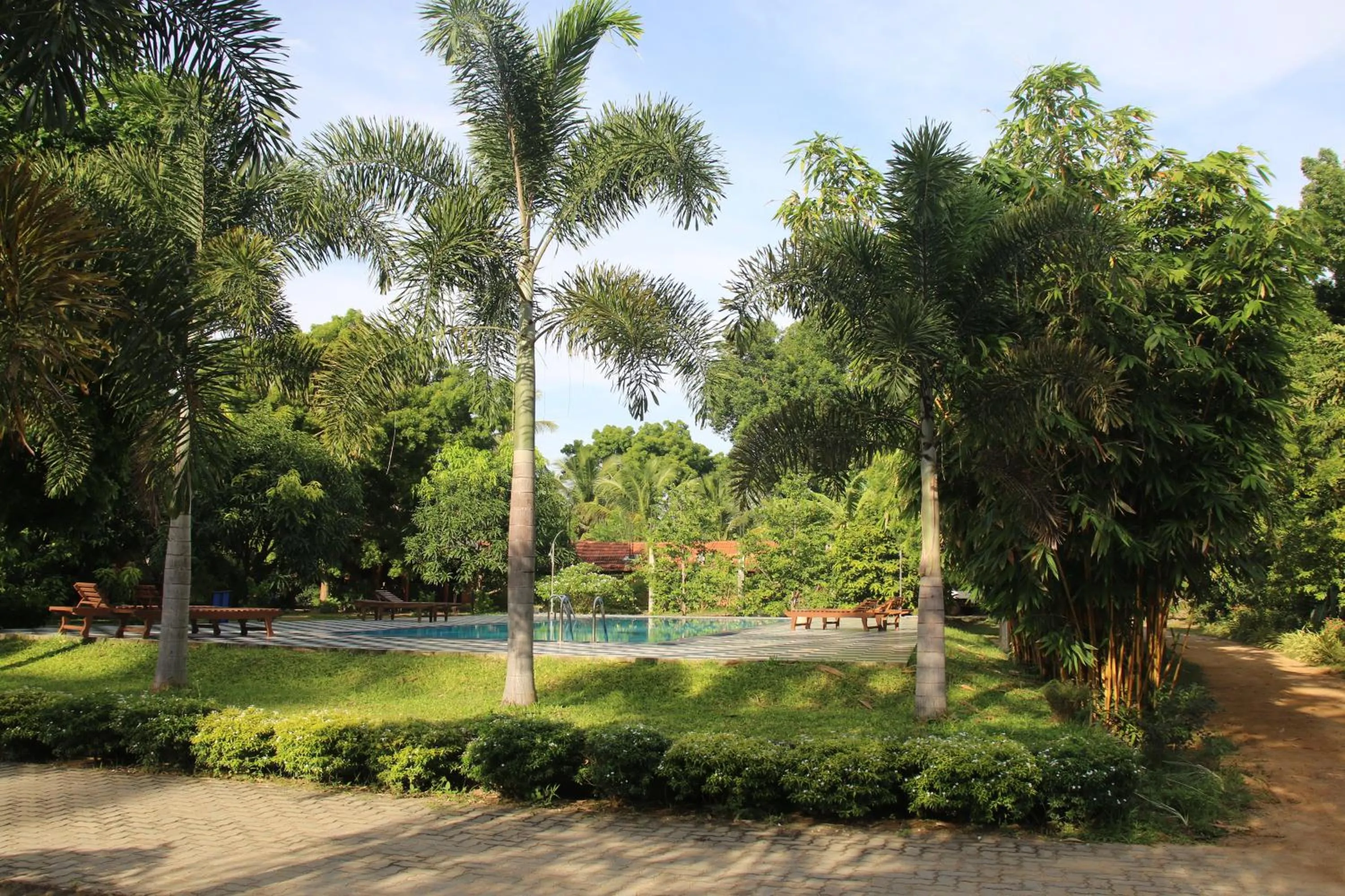 Garden in The Grand Yala Hotel