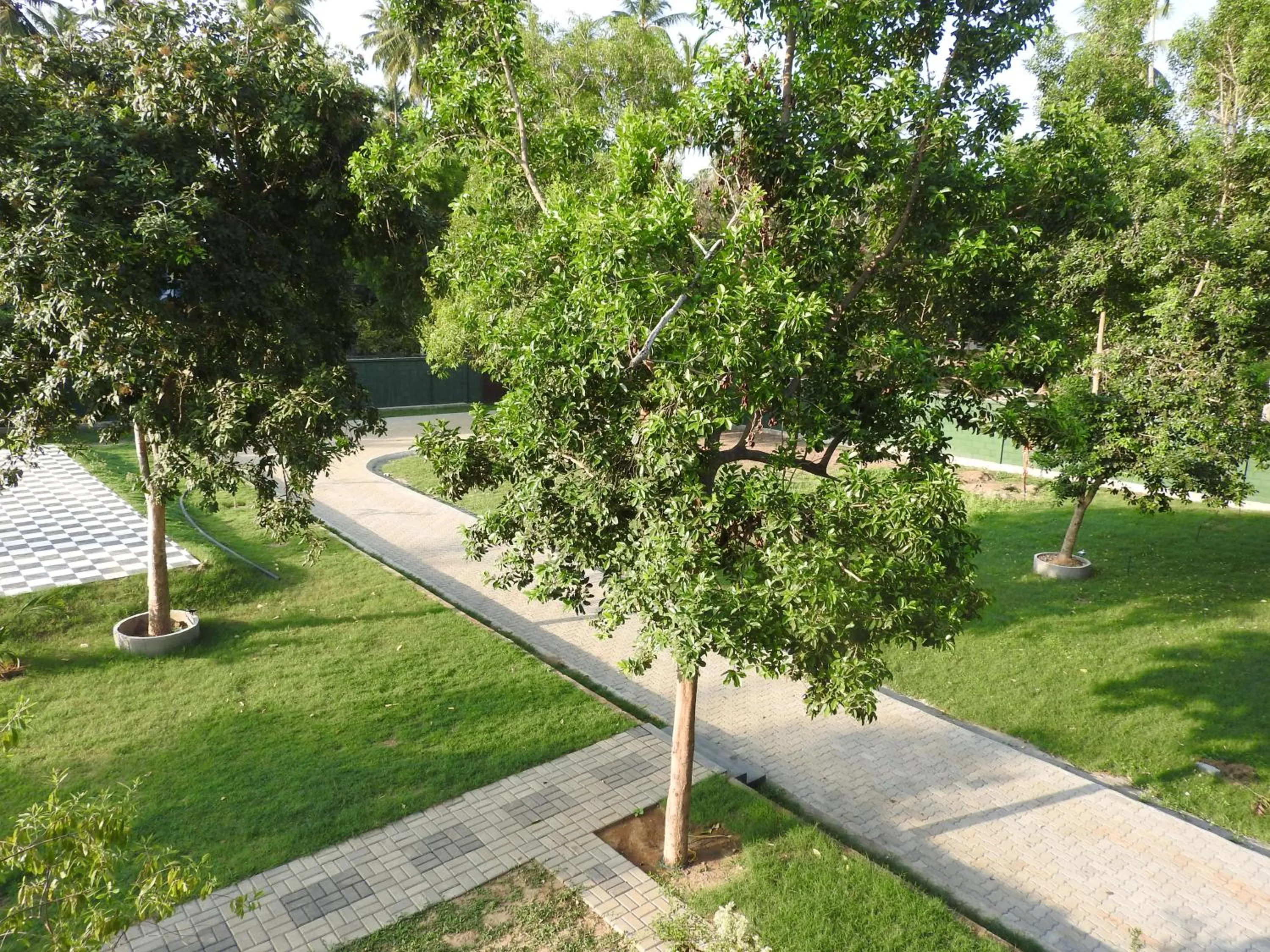 Garden view in The Grand Yala Hotel