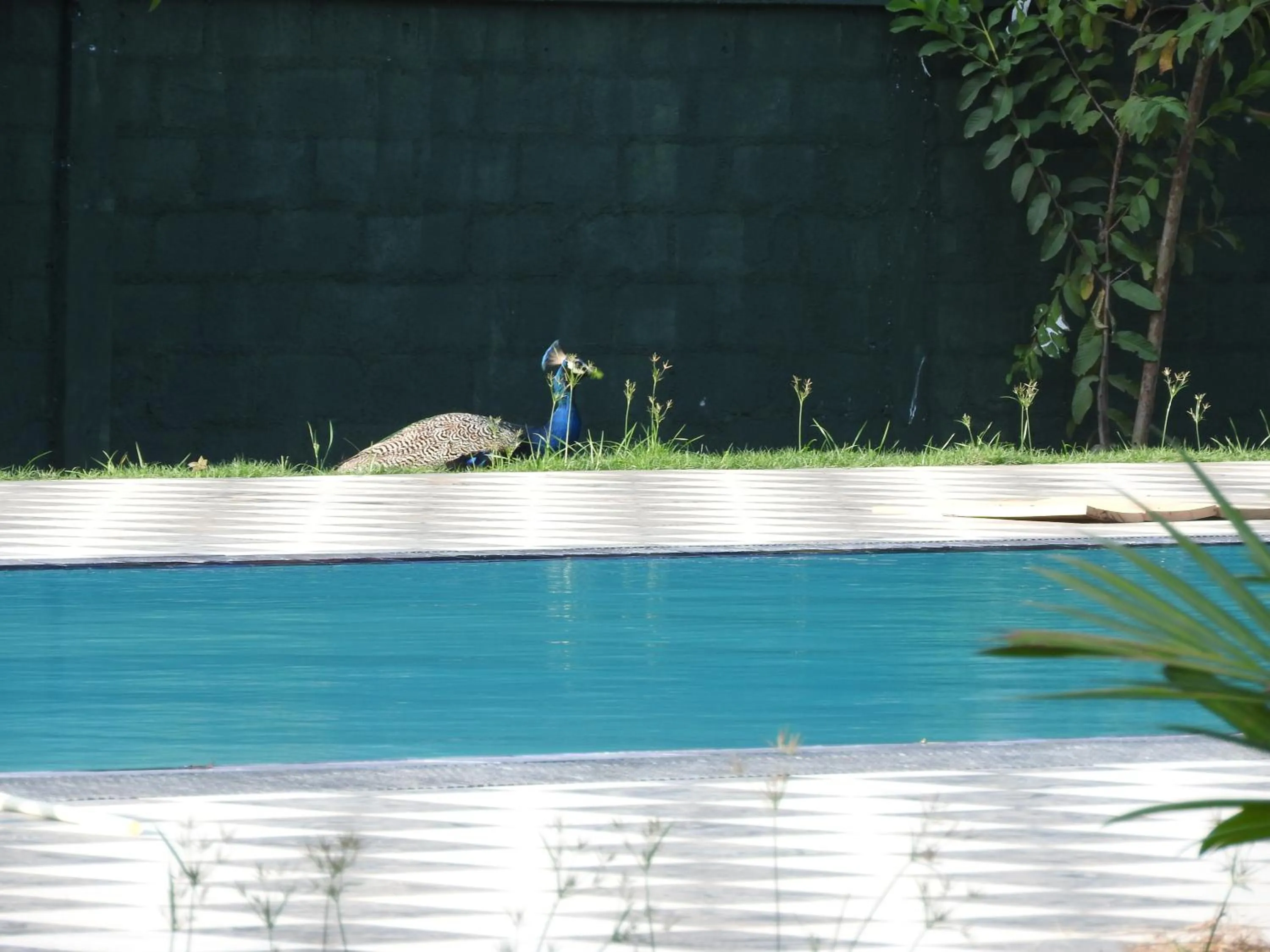 Property building in The Grand Yala Hotel
