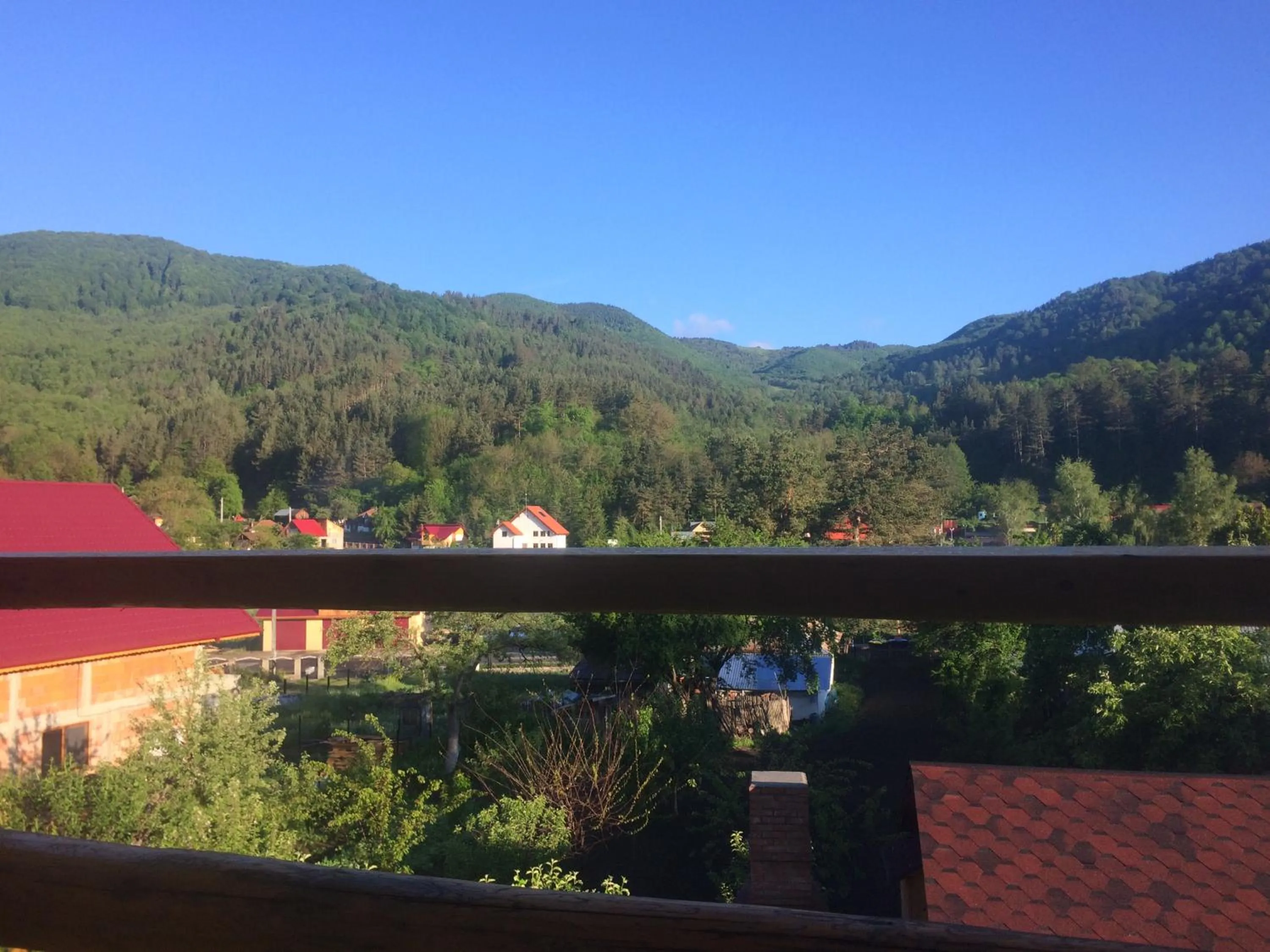 Natural landscape in Casa de Vacanta Neagu