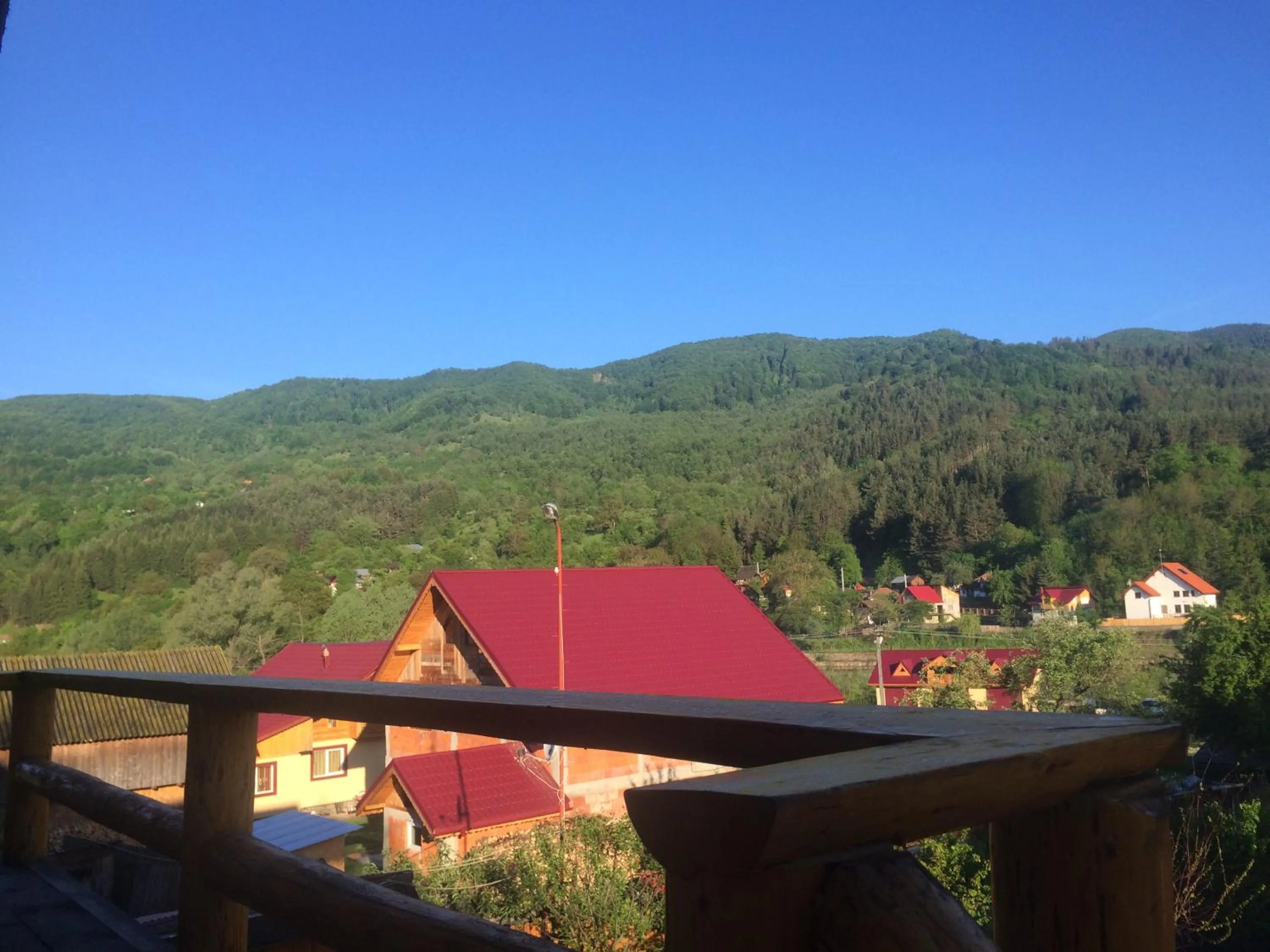Natural landscape in Casa de Vacanta Neagu
