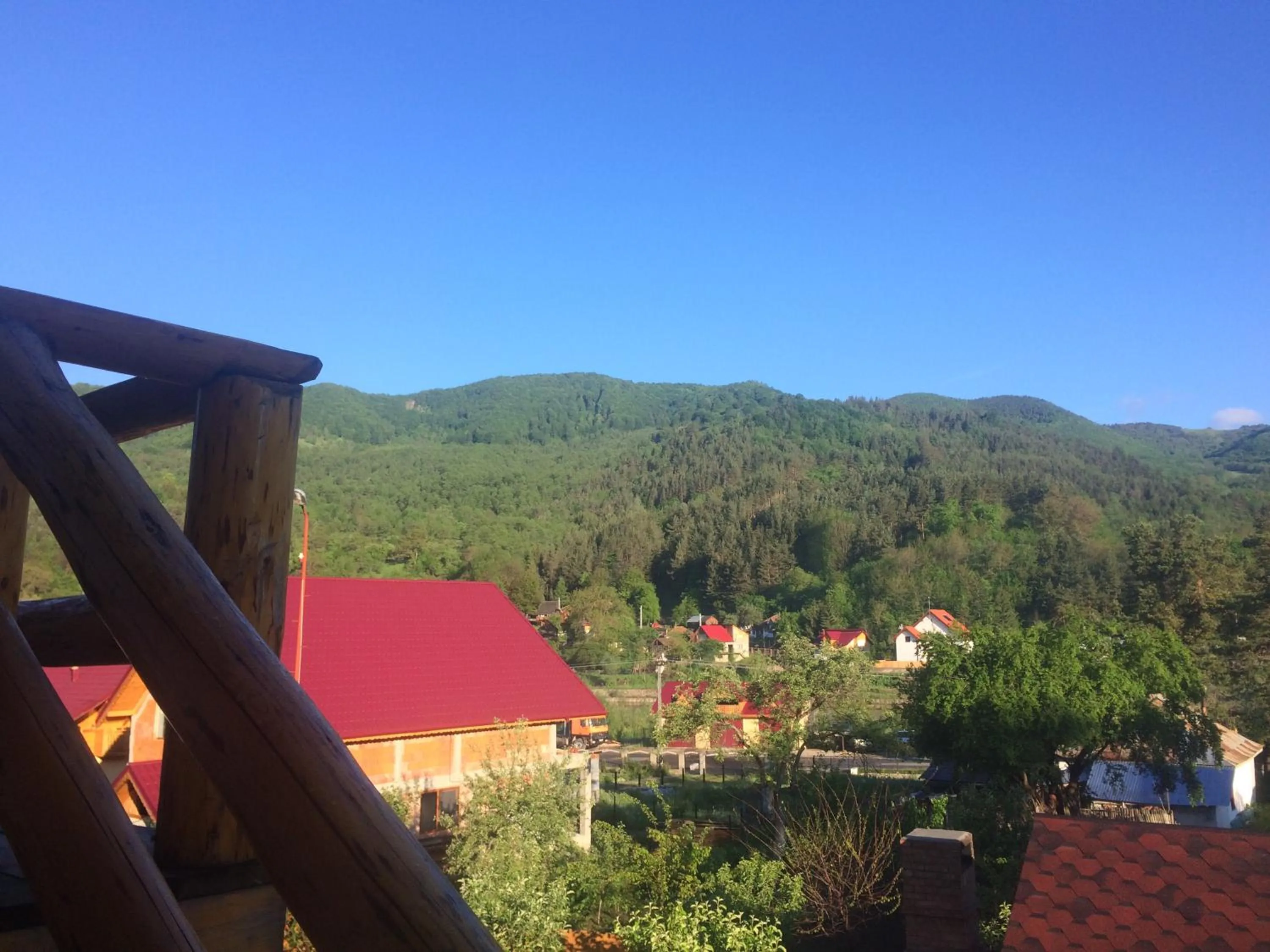 Natural landscape in Casa de Vacanta Neagu