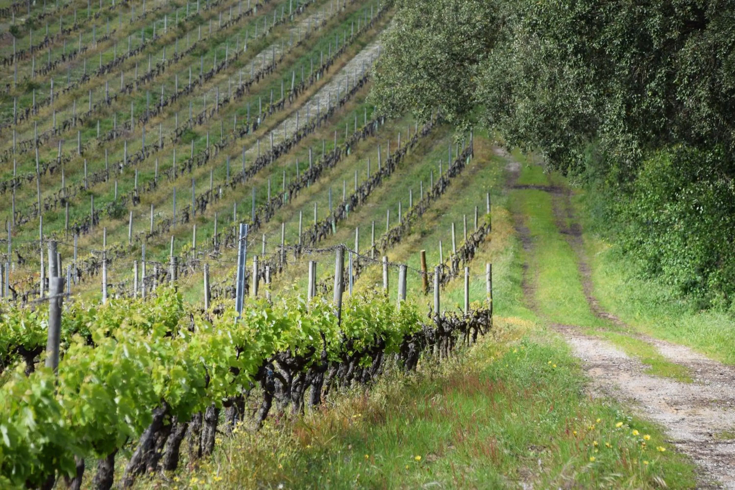 Quinta De Catralvos