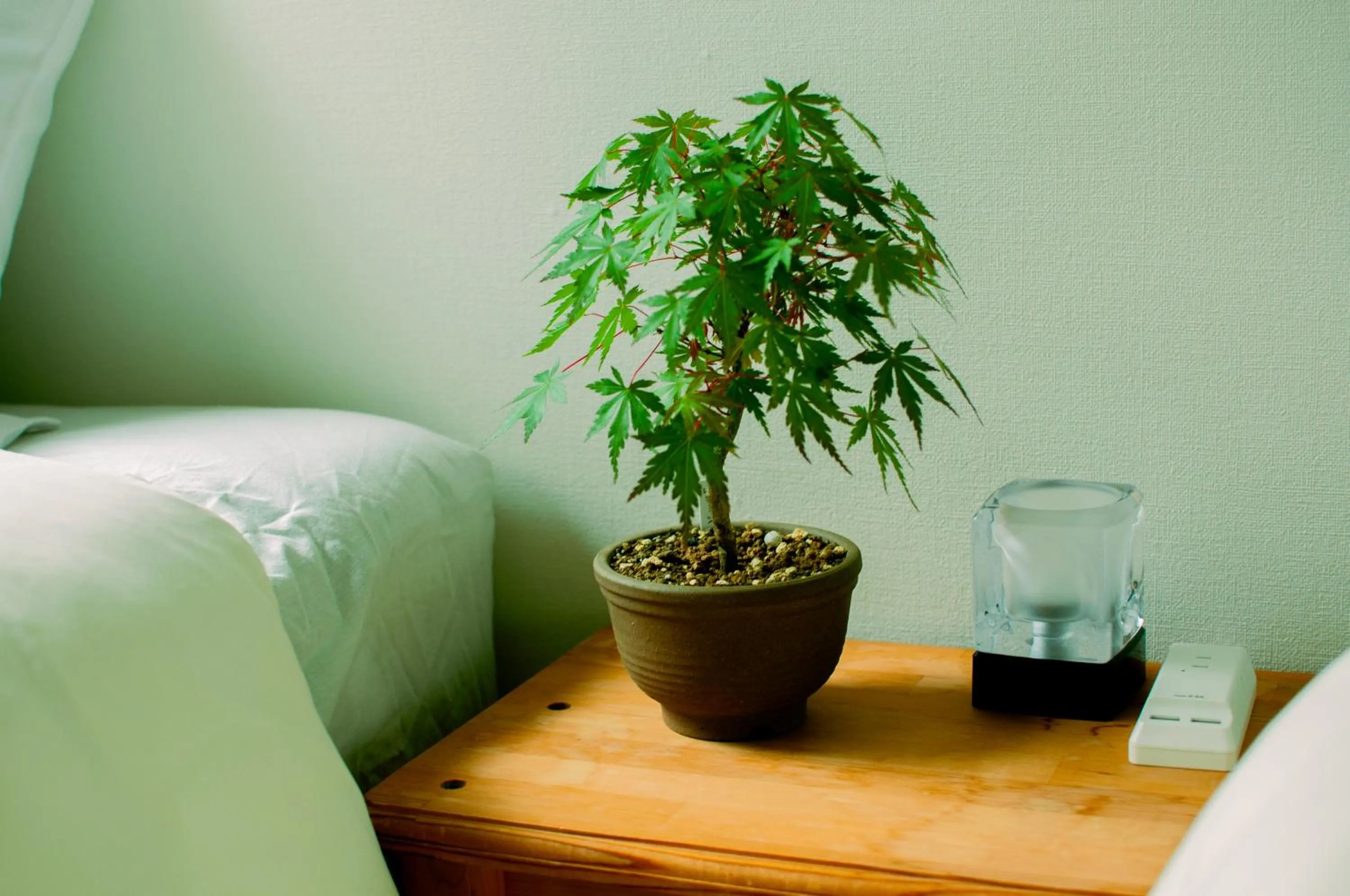 Decorative detail in Hostel Mt. Fuji - FUKUYA