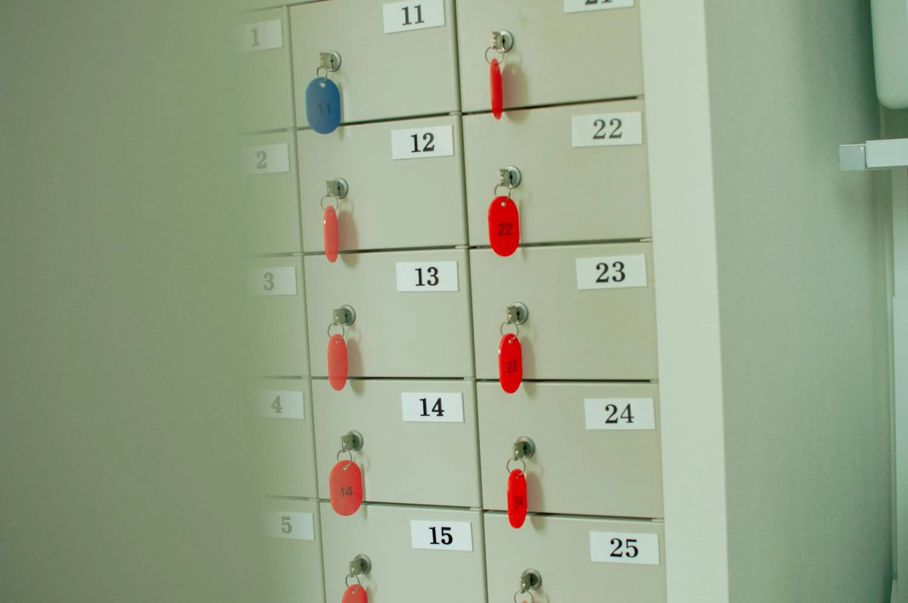 Area and facilities in Hostel Mt. Fuji - FUKUYA