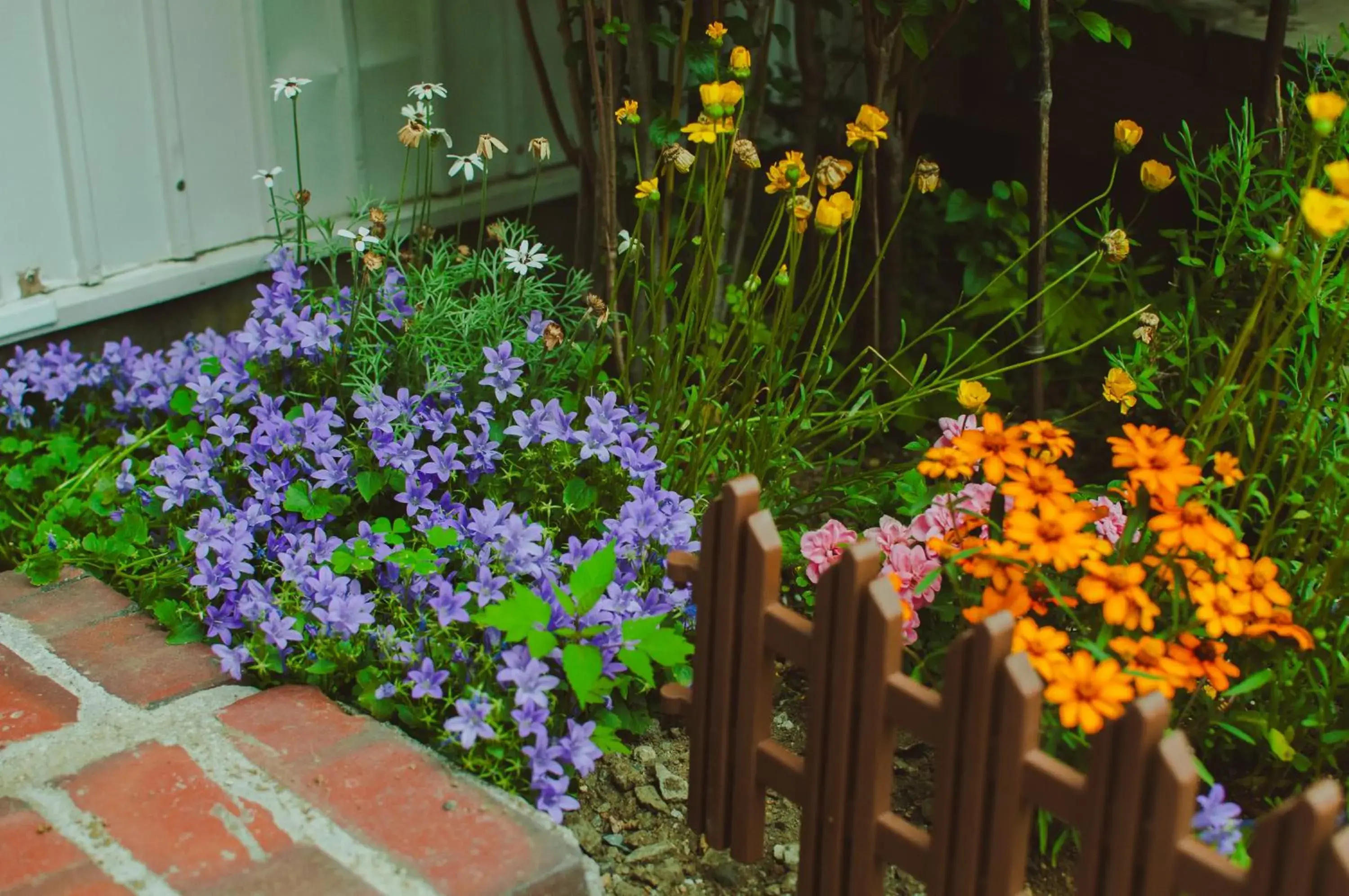 Garden view in Hostel Mt. Fuji - FUKUYA Garden view in Hostel Mt. Fuji - FUKUYA