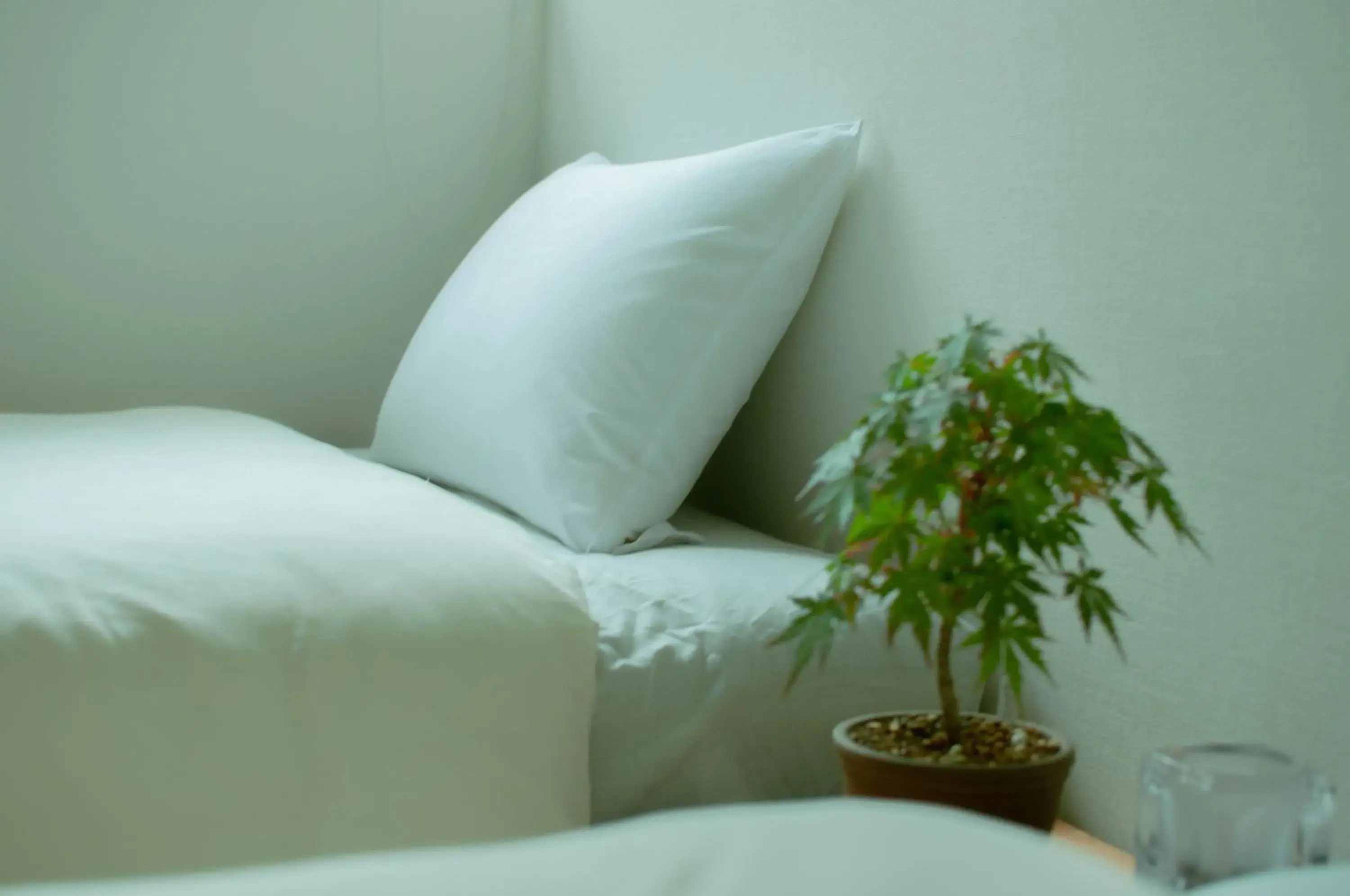 Bed in Hostel Mt. Fuji - FUKUYA Bed in Hostel Mt. Fuji - FUKUYA