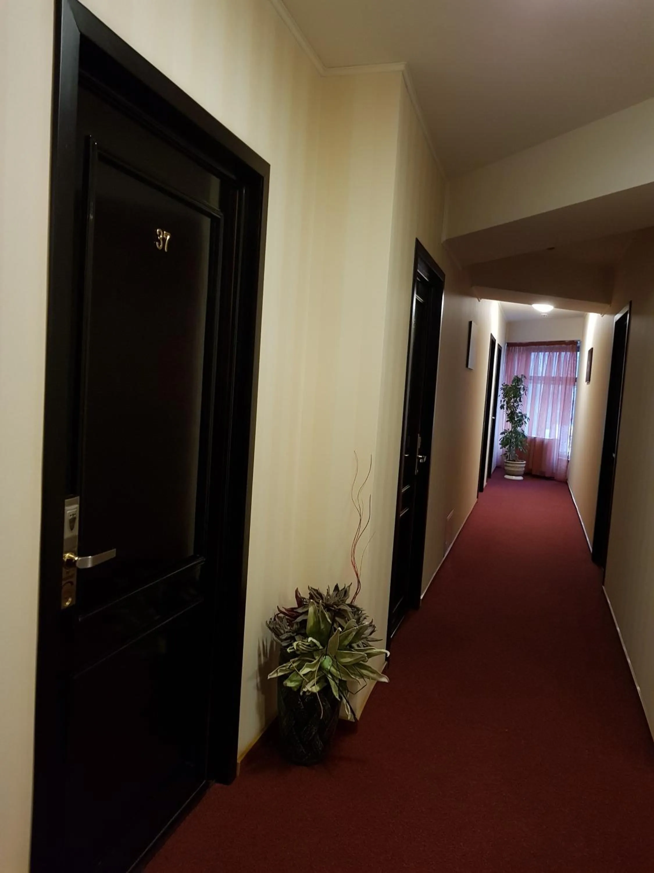 Lobby or reception in Indiana Hotel