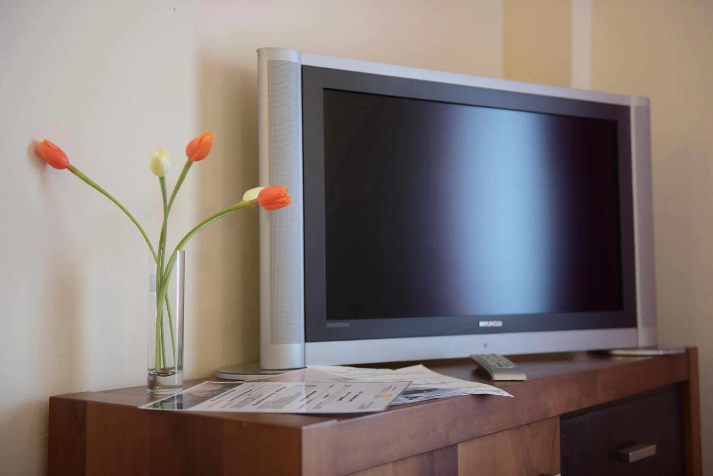 TV and multimedia in Hotel Imperial