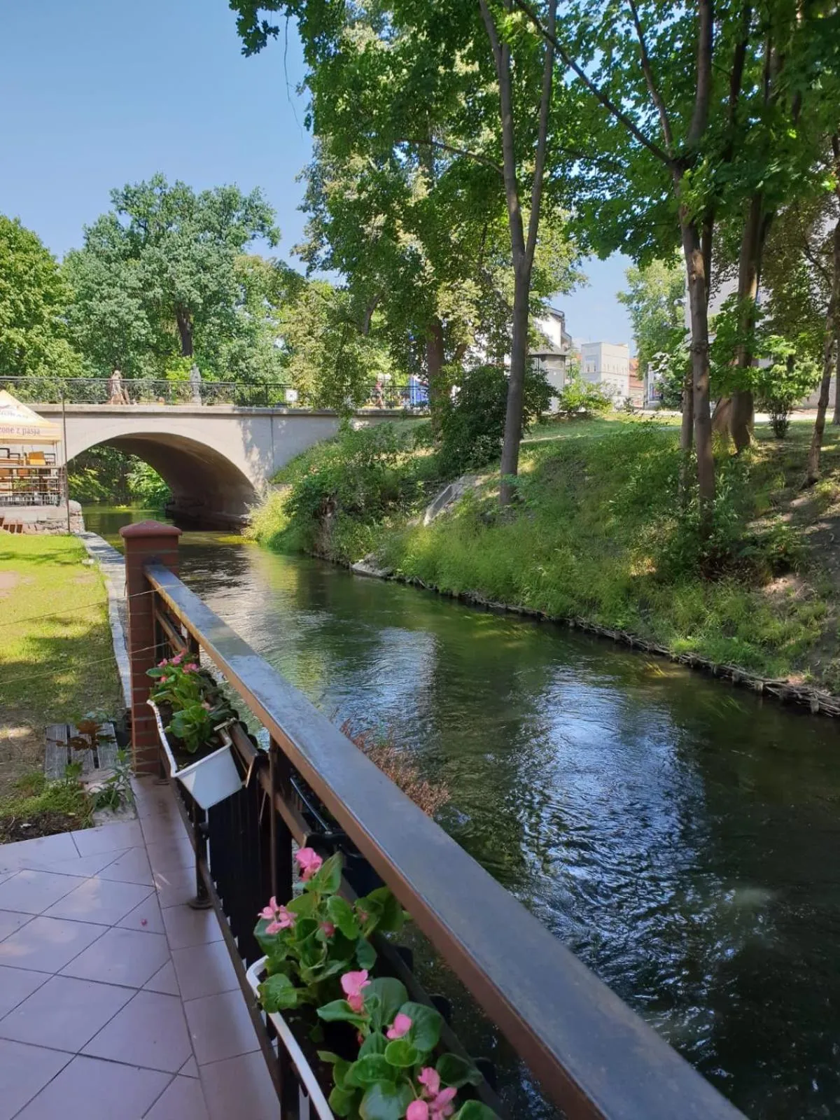 River view in Kamienica Górna 7