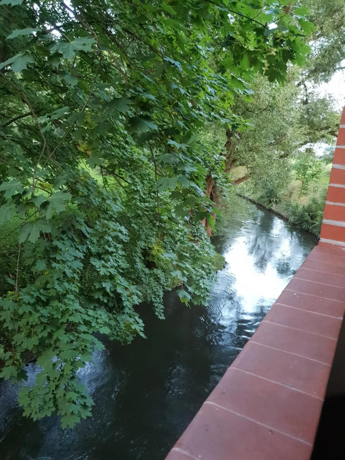 River view in Kamienica Górna 7