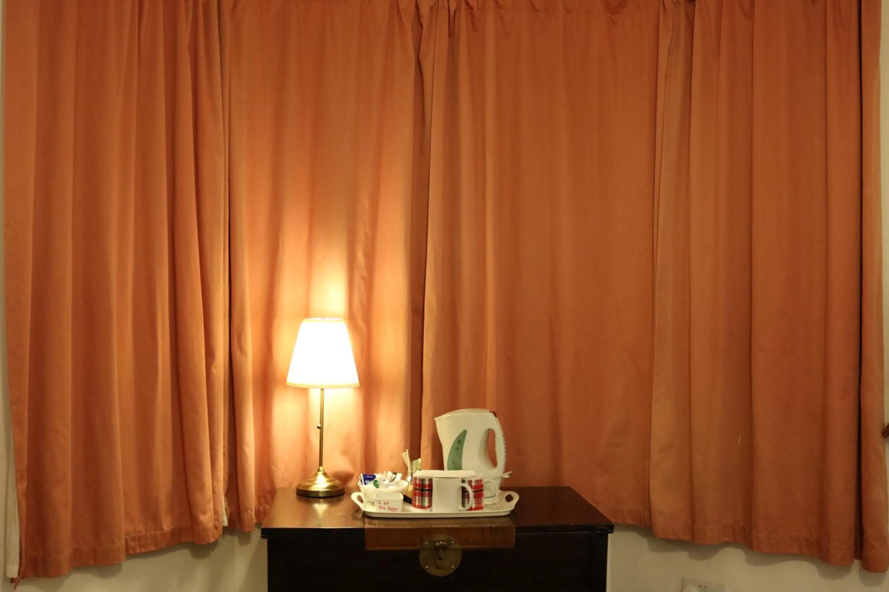 Coffee/tea facilities in Anand Lodge