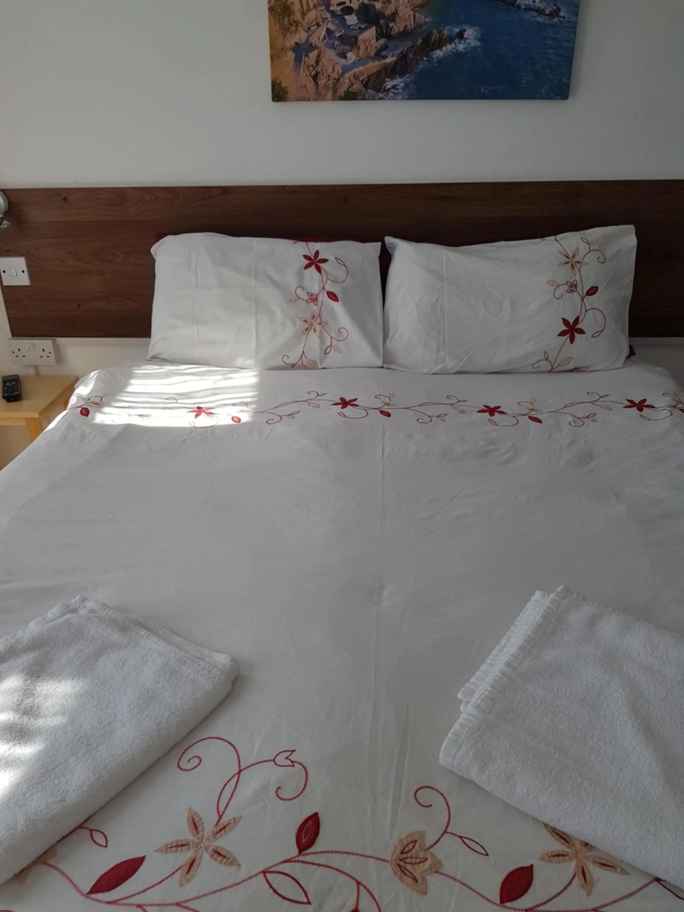 Bed in Anand Lodge