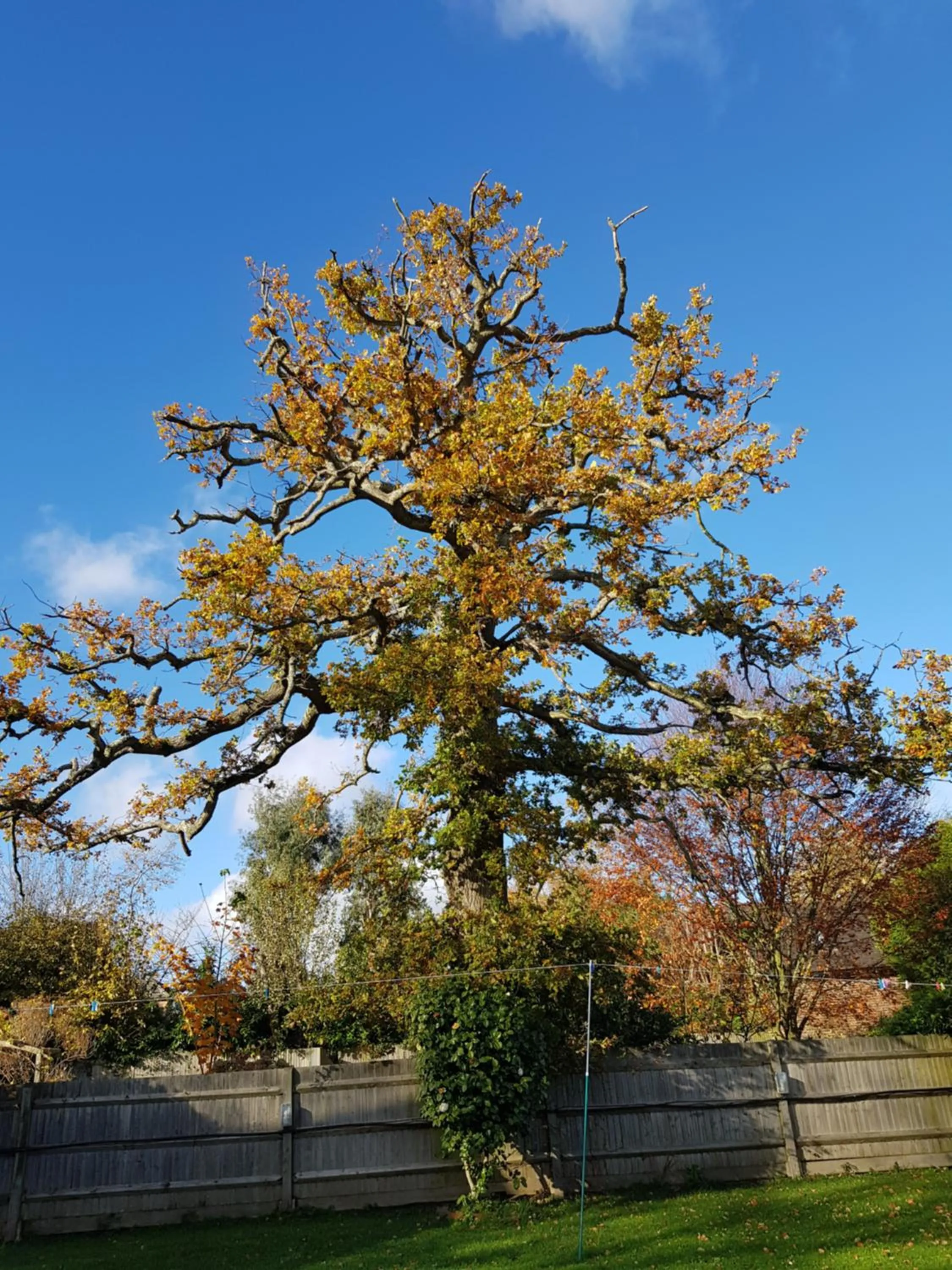 Property building in Anand Lodge
