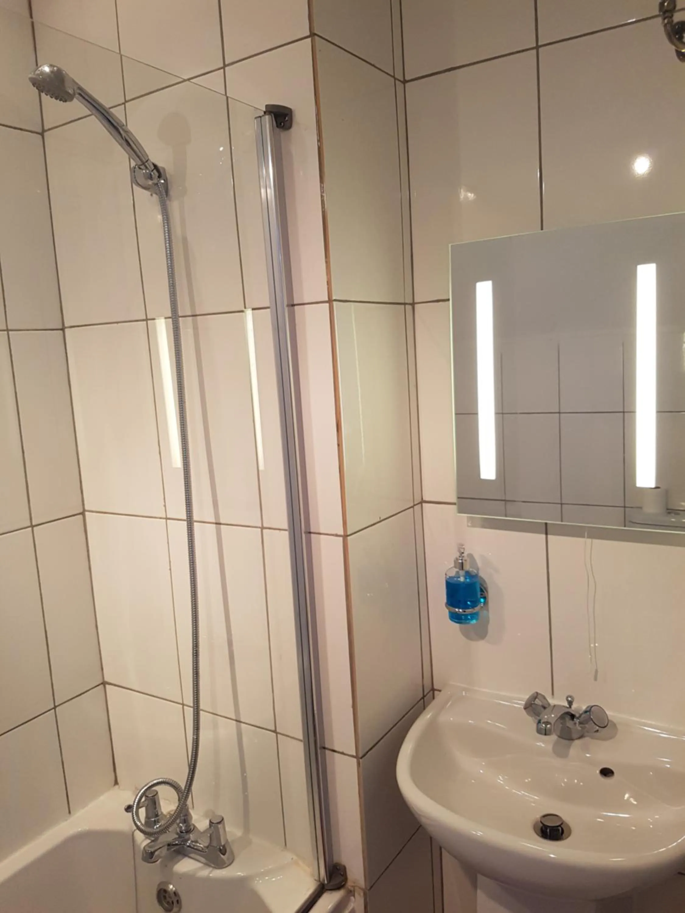 Bathroom in Anand Lodge