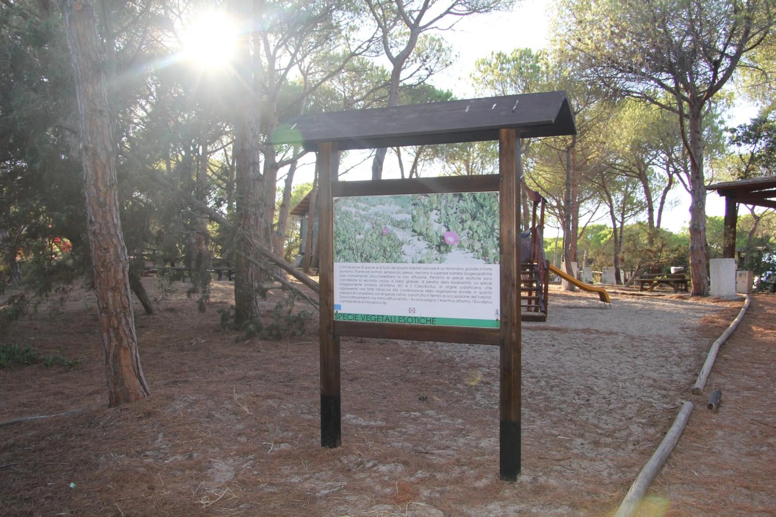 Natural landscape in Agliadò