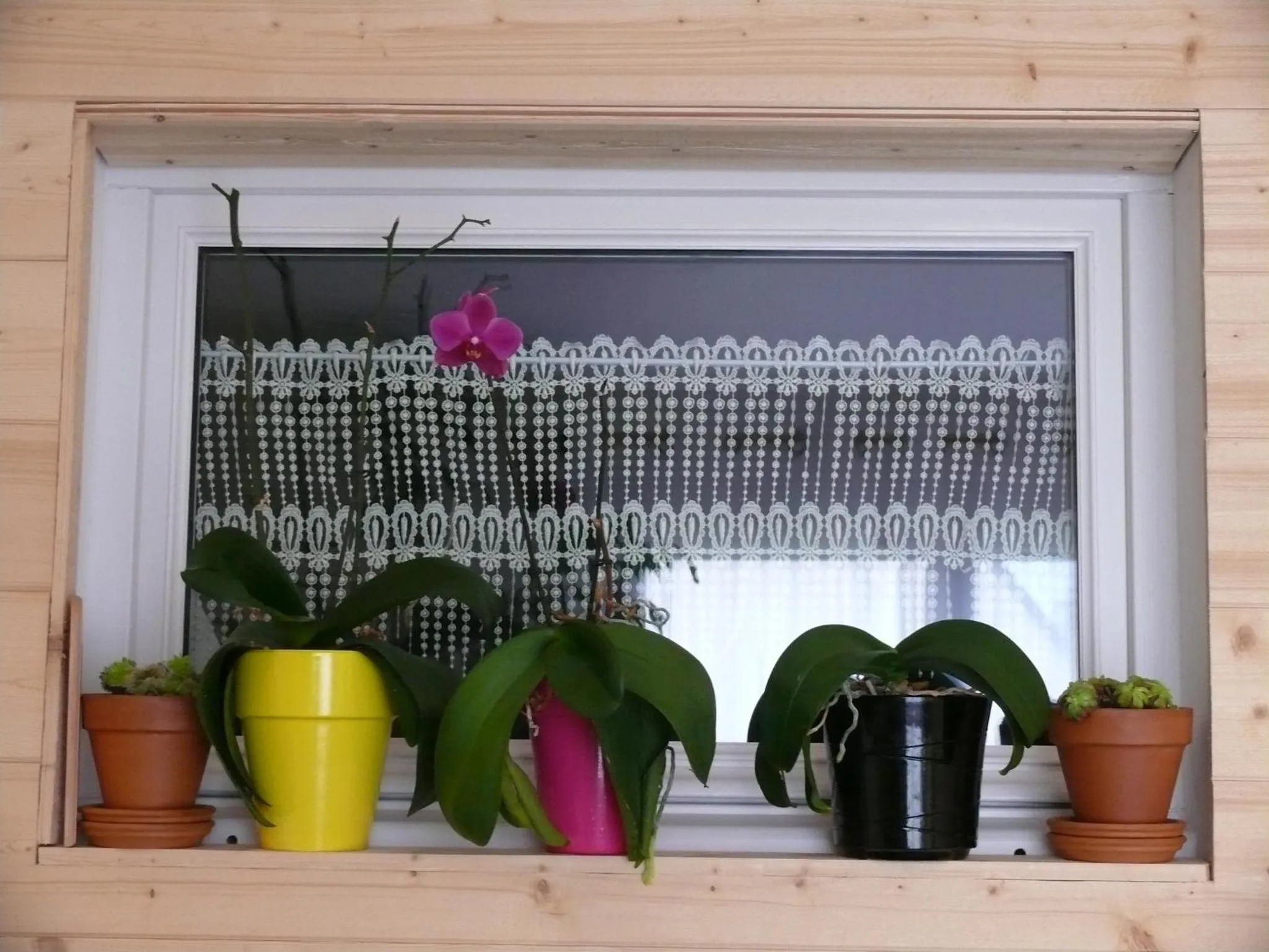 Decorative detail in Entre Mer et Rivière