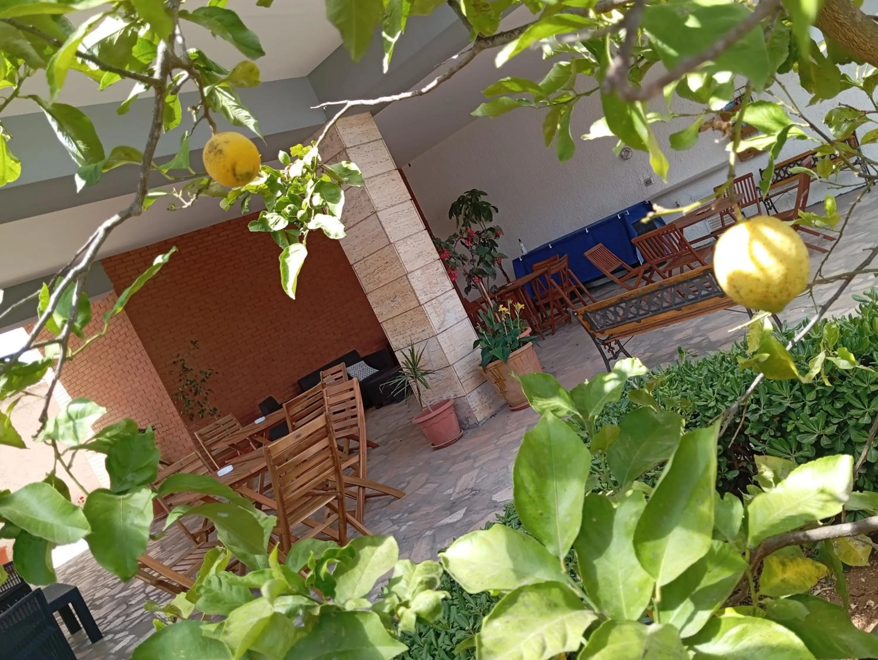 Breakfast in B&B Il Cedro