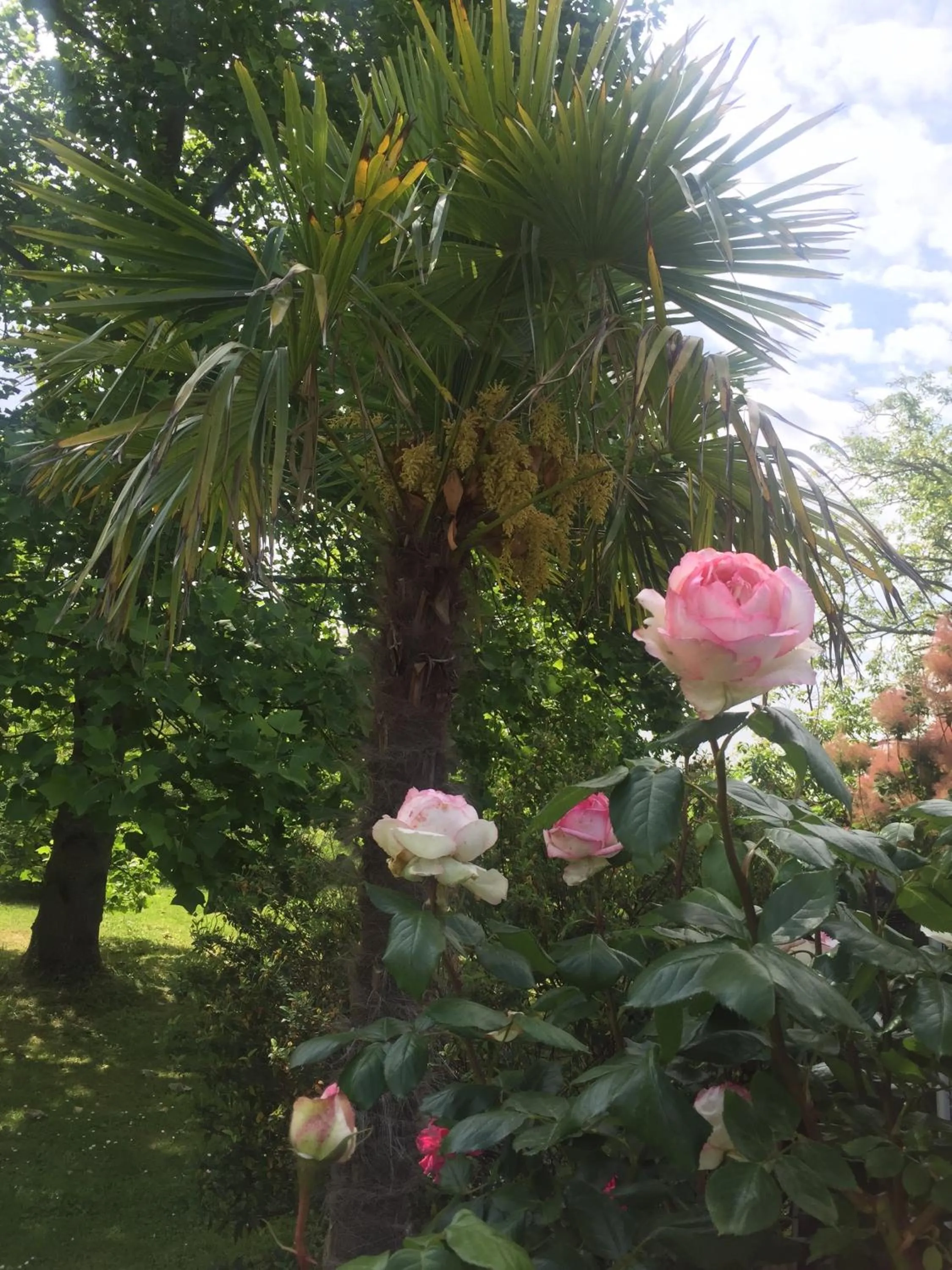 Property building in Villa Toulousaine