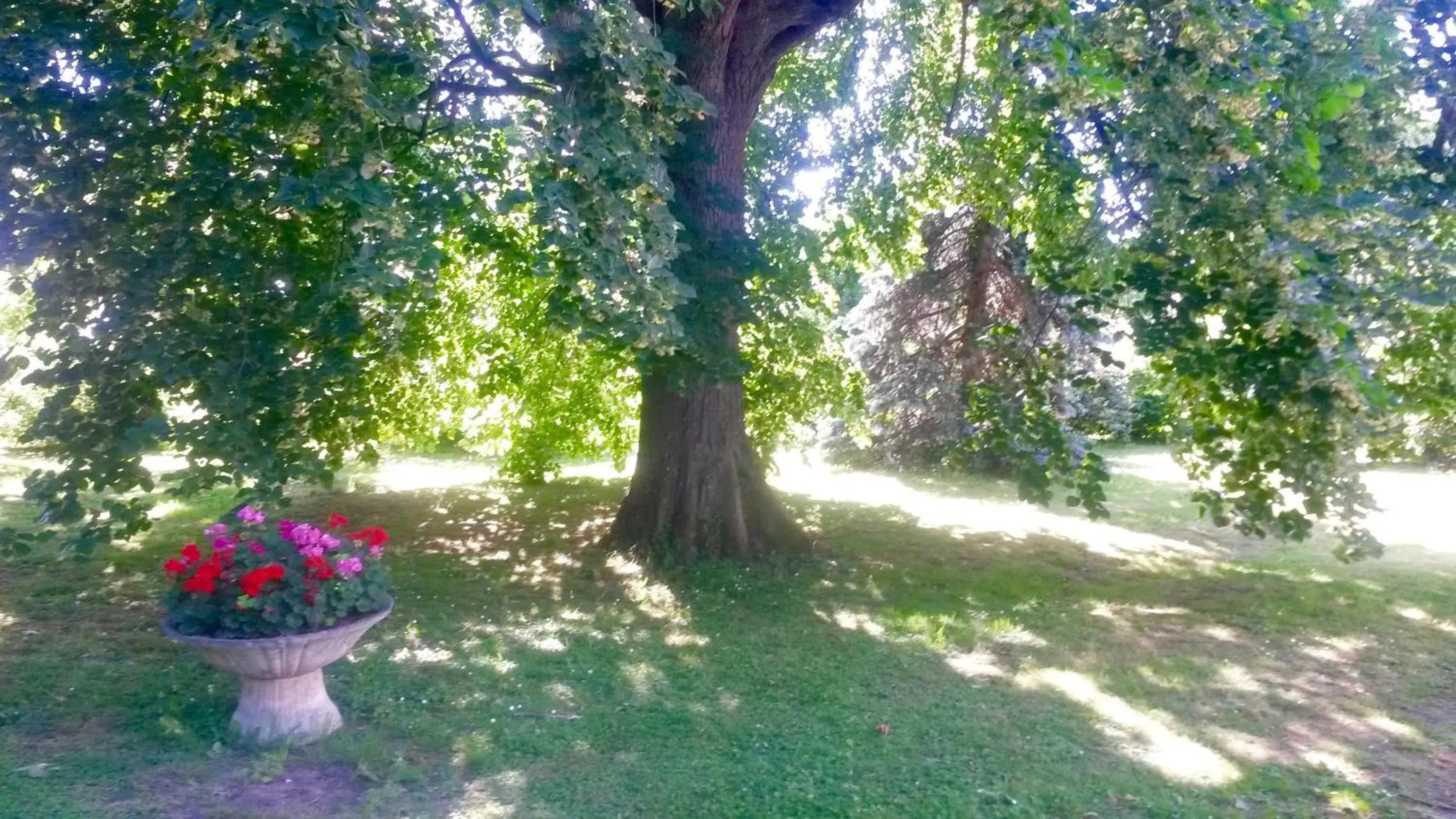 Garden view in Villa Toulousaine