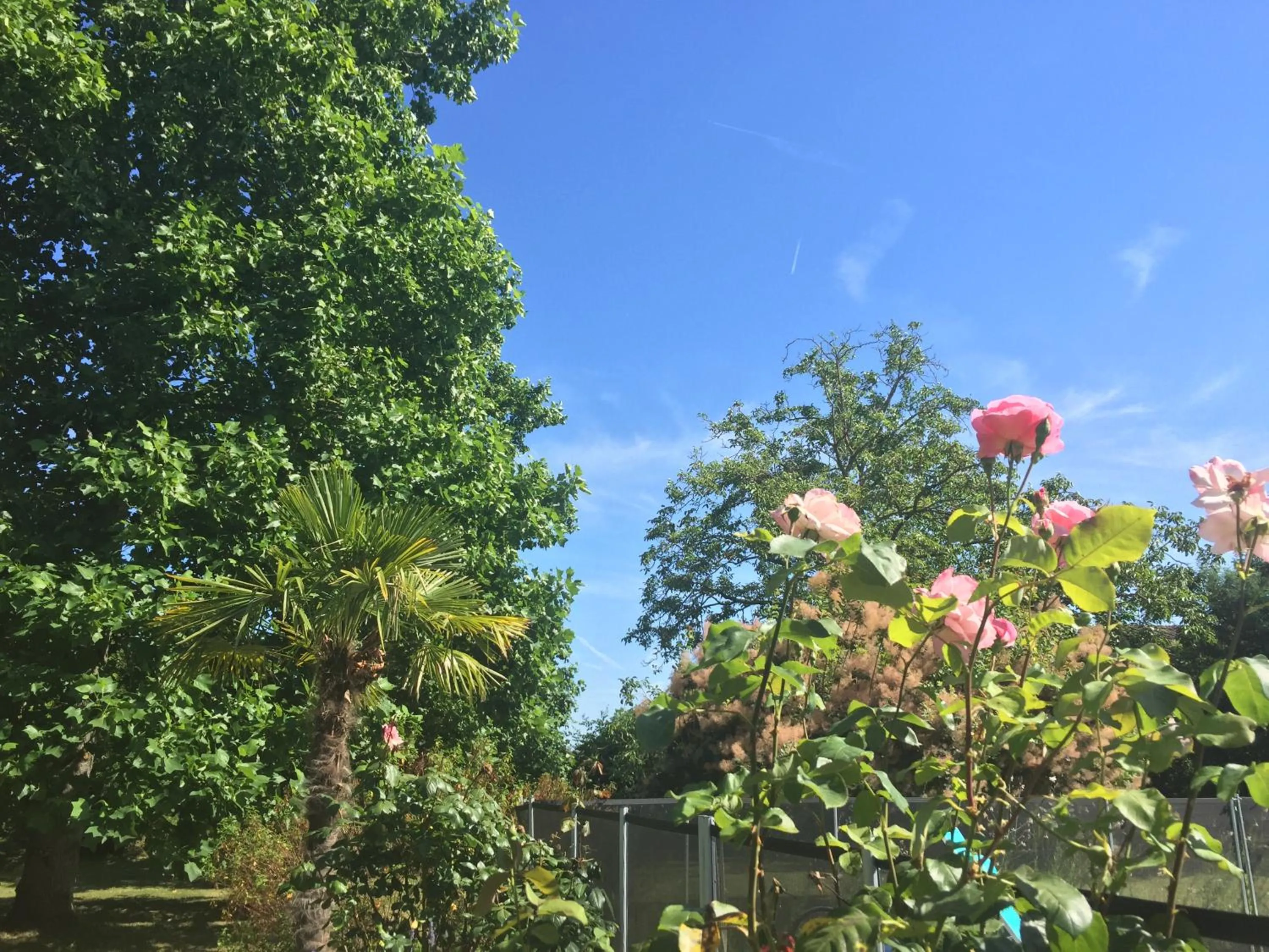 Property building in Villa Toulousaine