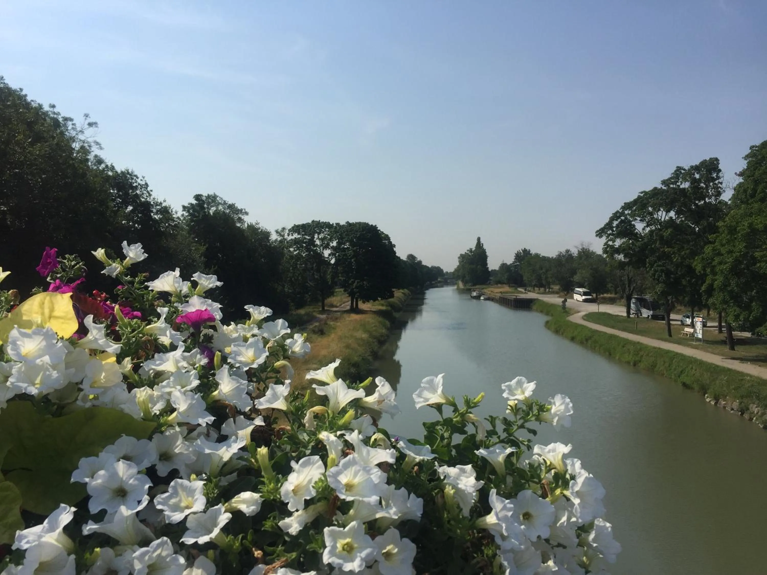 Garden in Villa Toulousaine
