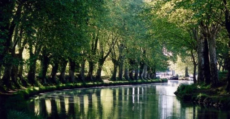 Natural landscape in Villa Toulousaine