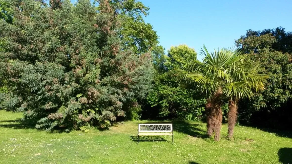 Natural landscape in Villa Toulousaine