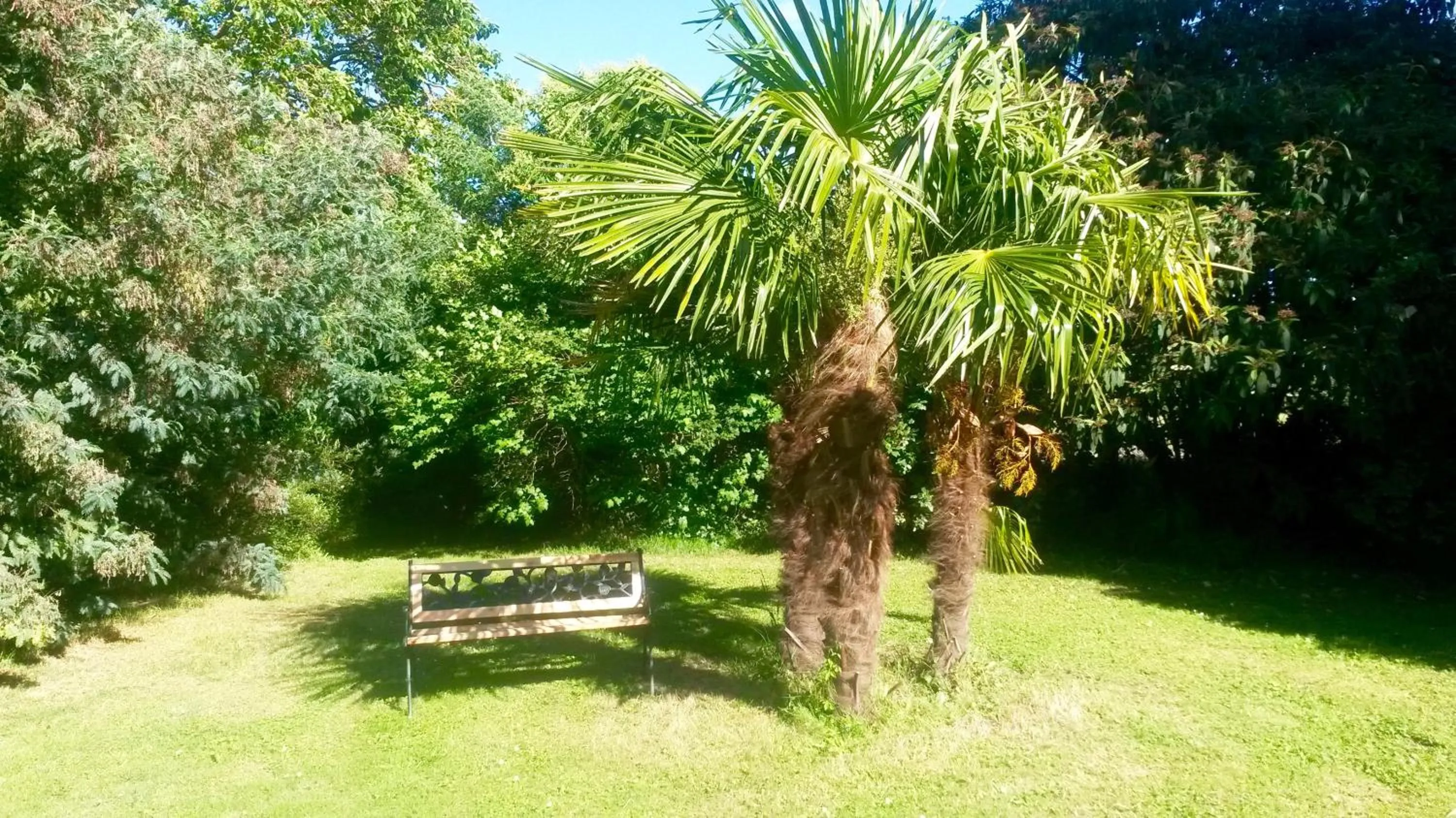 Natural landscape in Villa Toulousaine