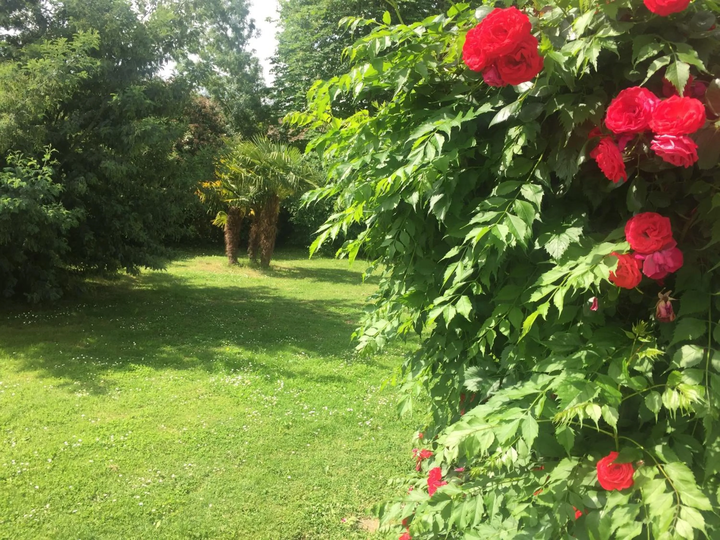 Facade/entrance in Villa Toulousaine