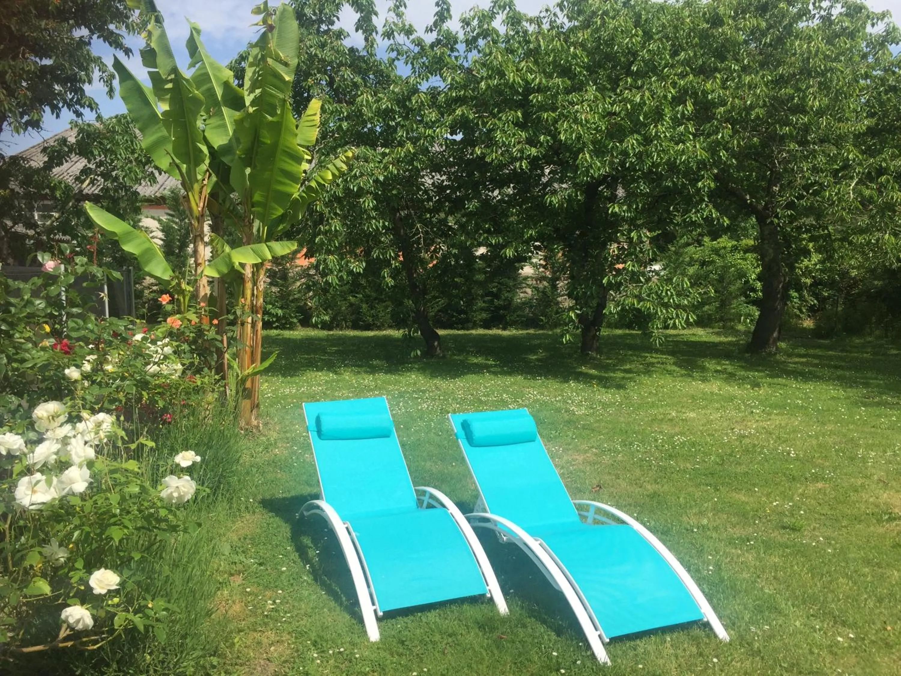 Property building in Villa Toulousaine