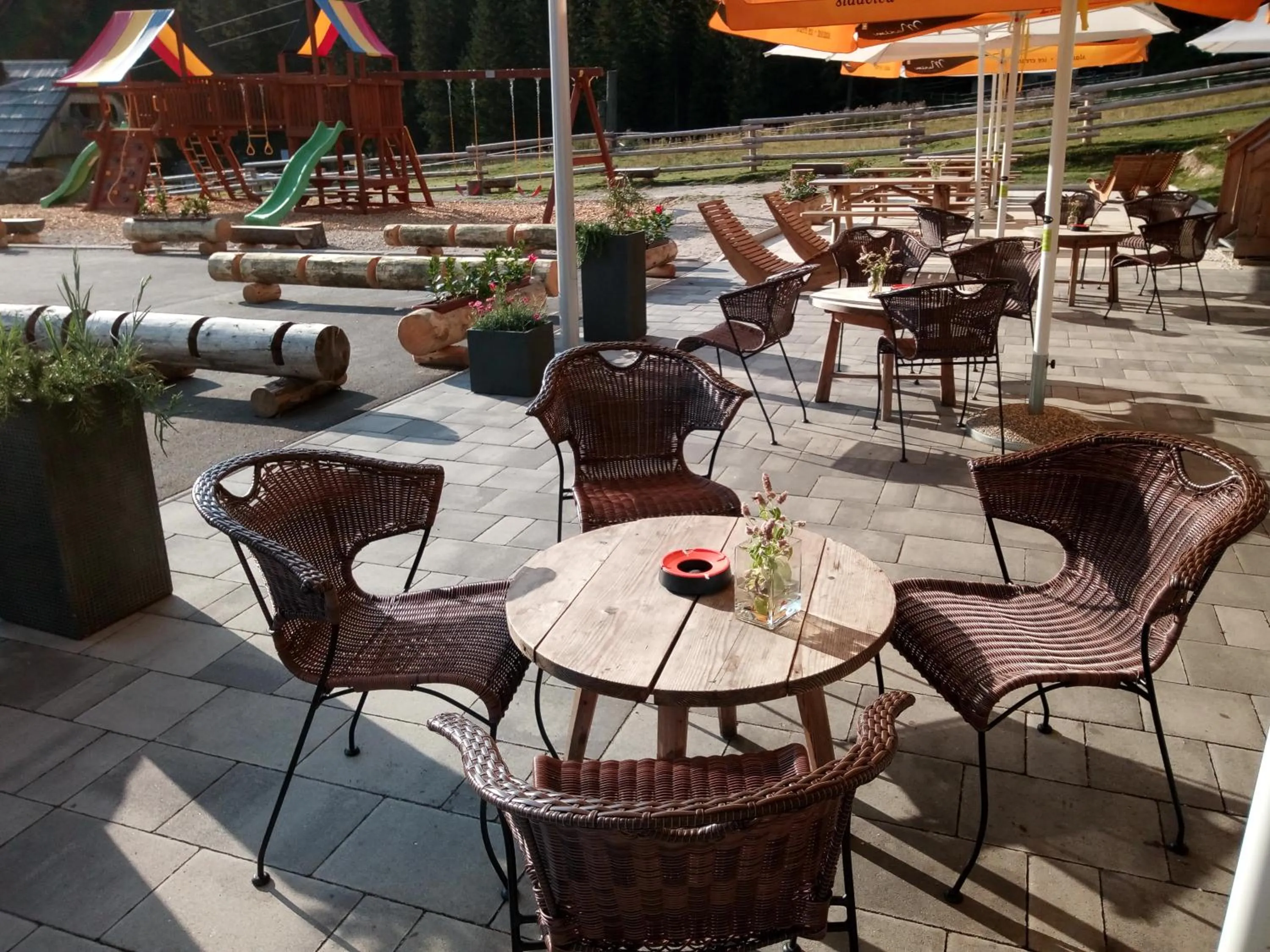 Spring in Hotel Pokljuka