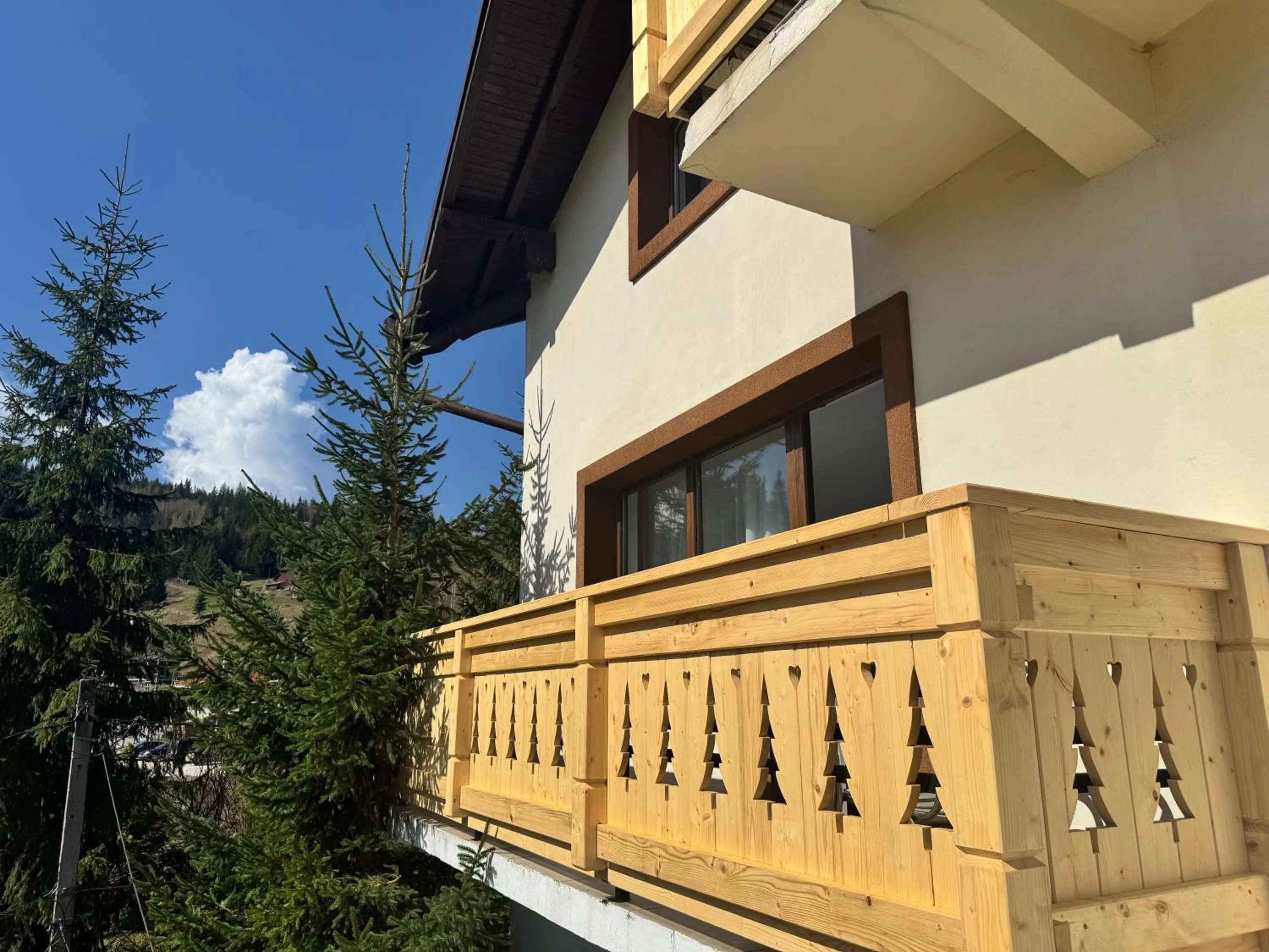 Chalet Minut