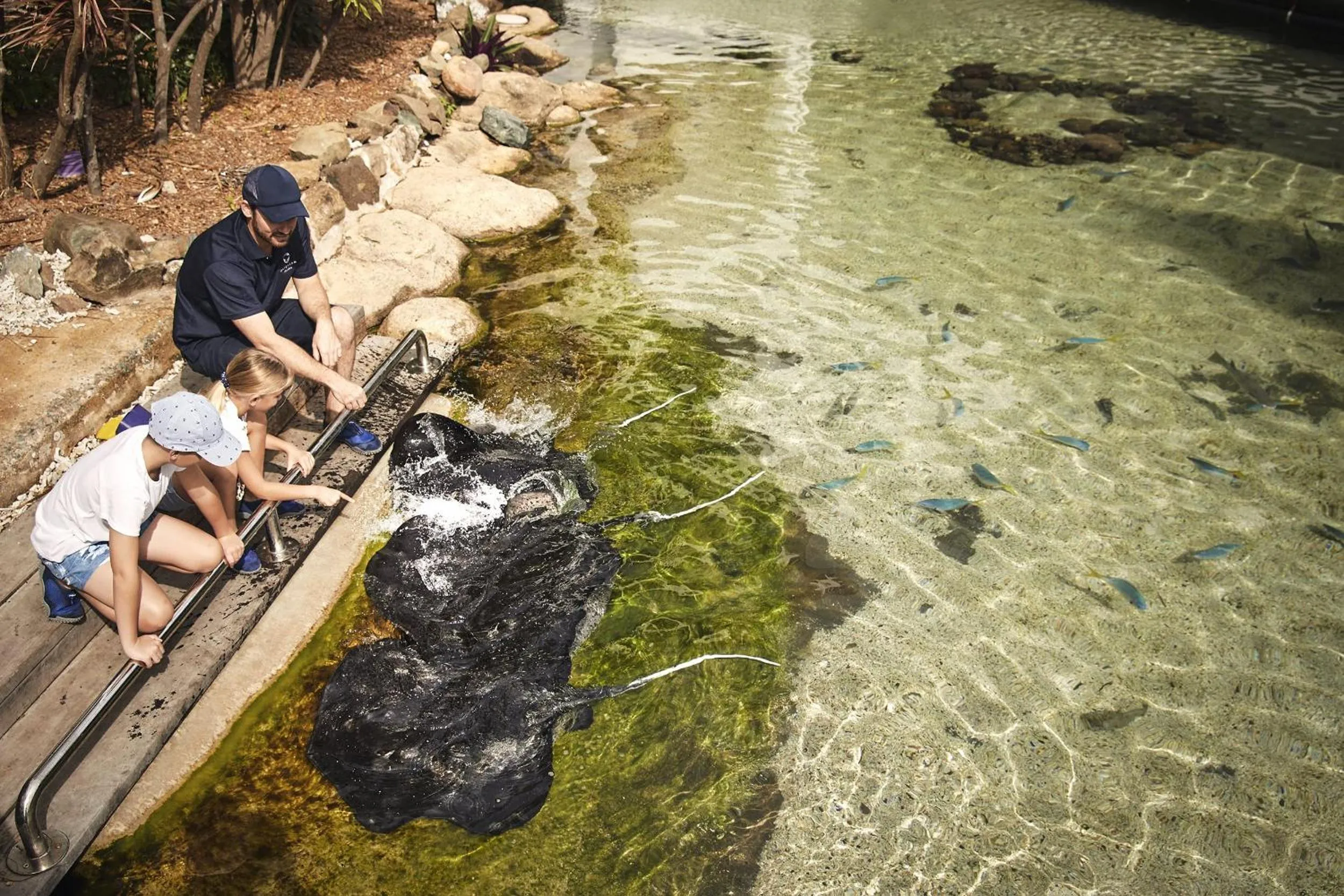 Staff in Daydream Island Resort