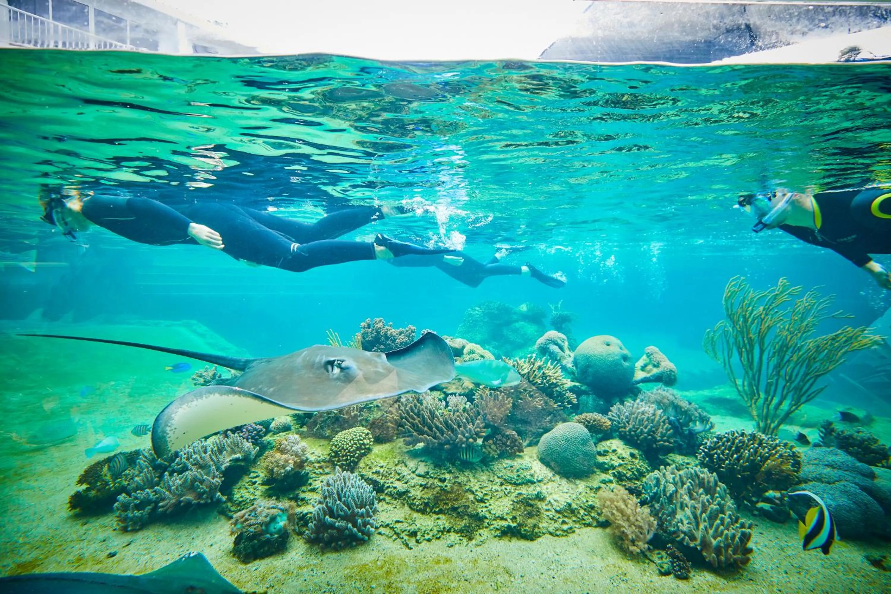 Activities in Daydream Island Resort