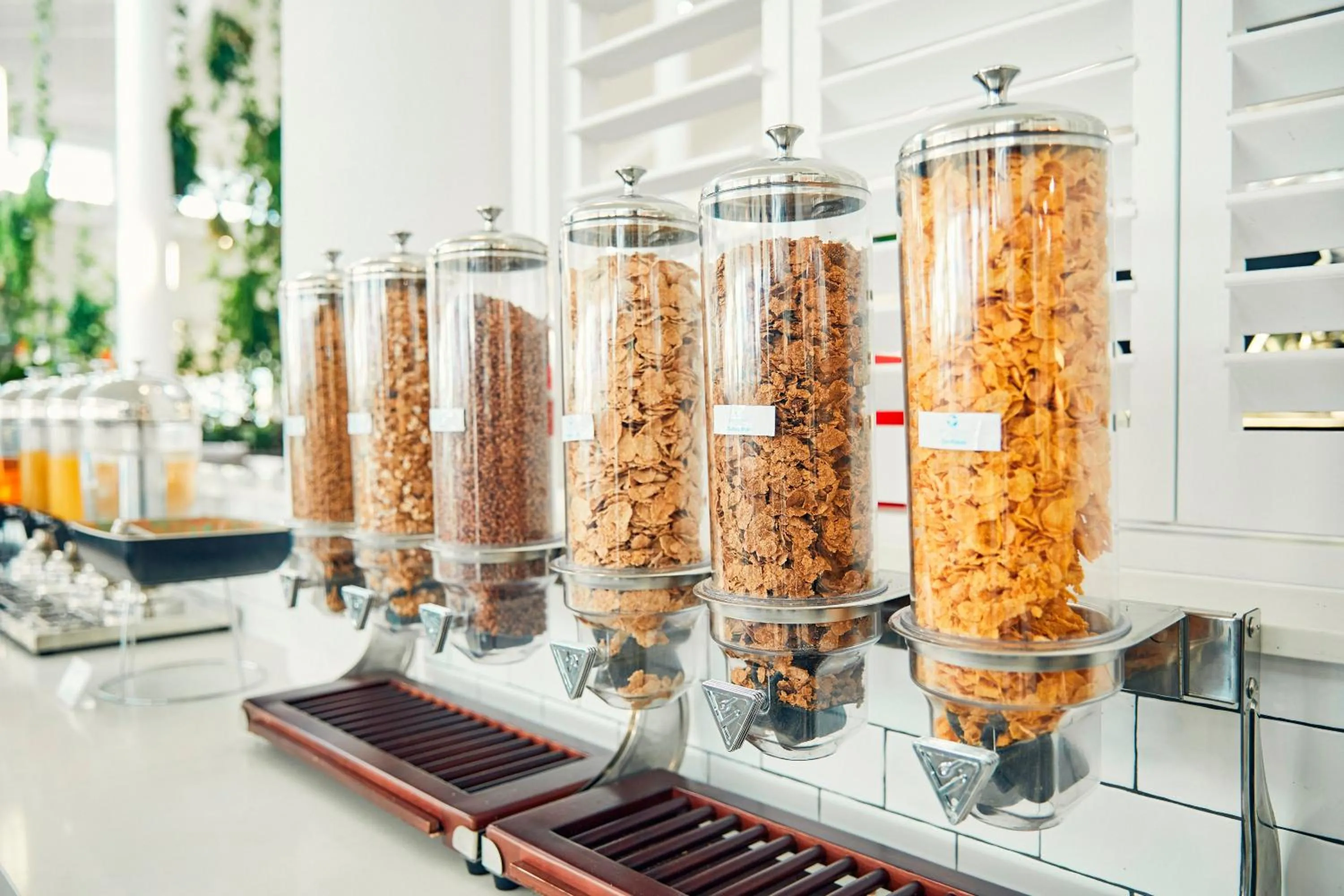 Food in Daydream Island Resort