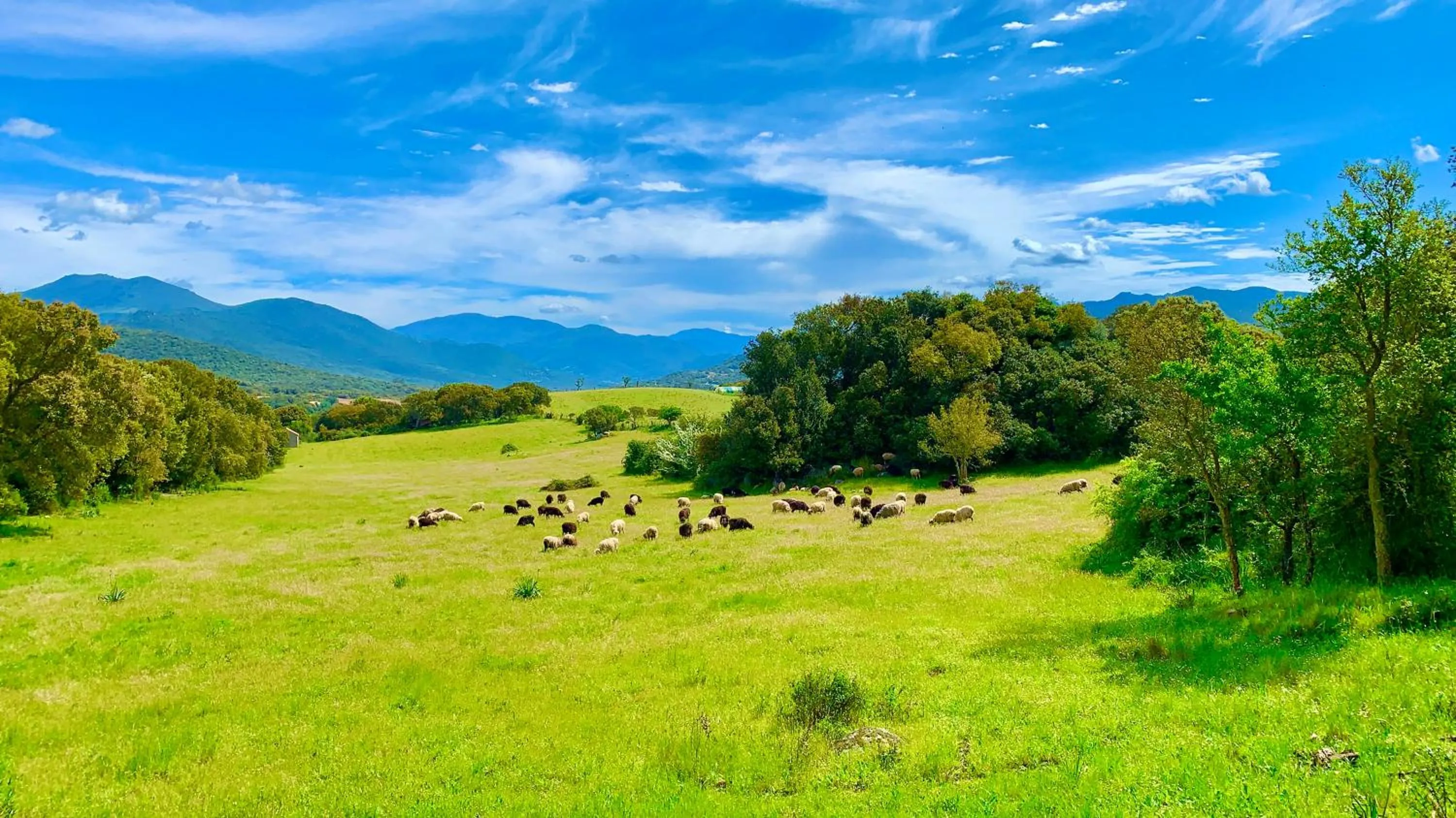 Day in L'Aravone Lodge