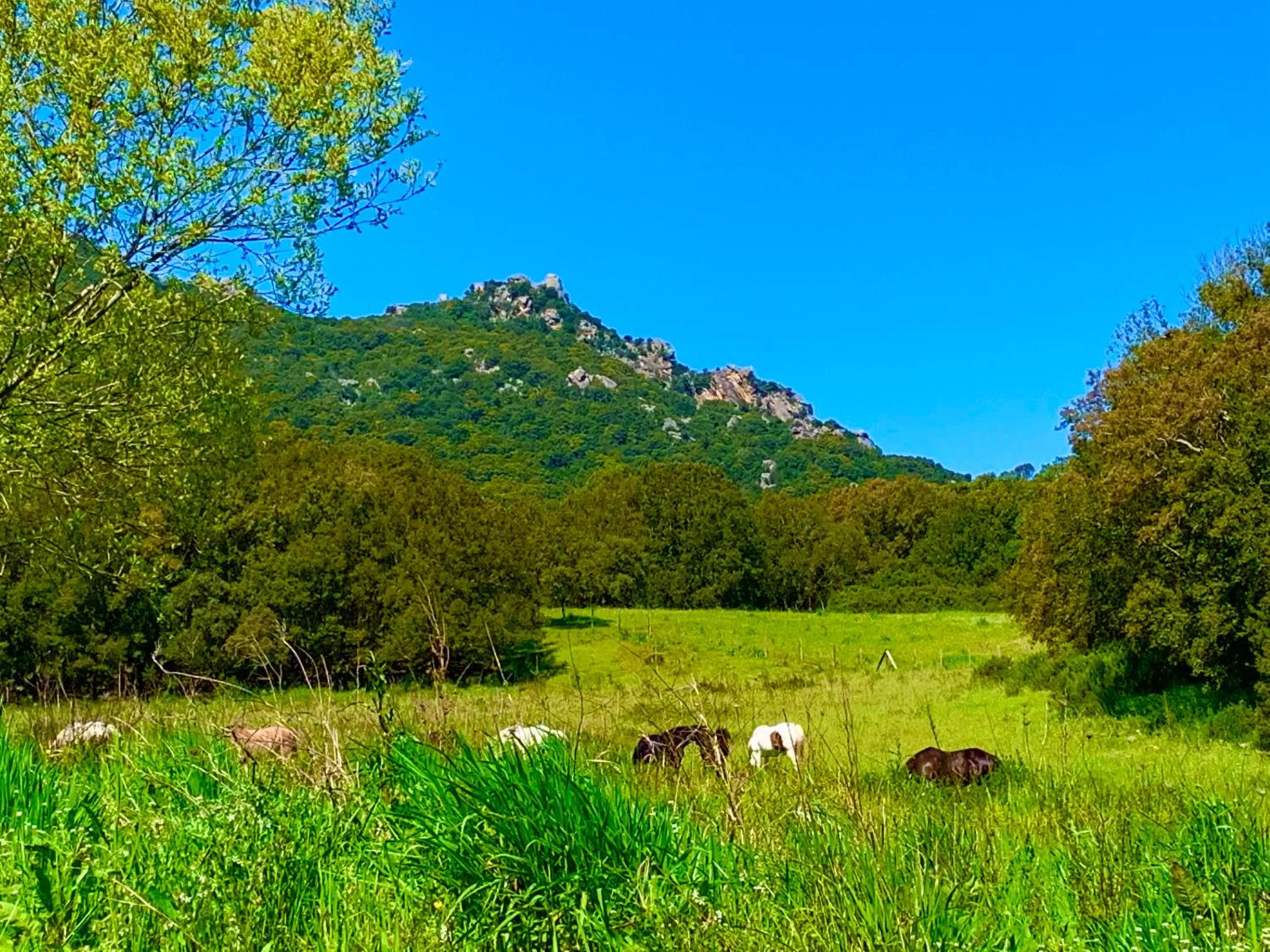 Day in L'Aravone Lodge